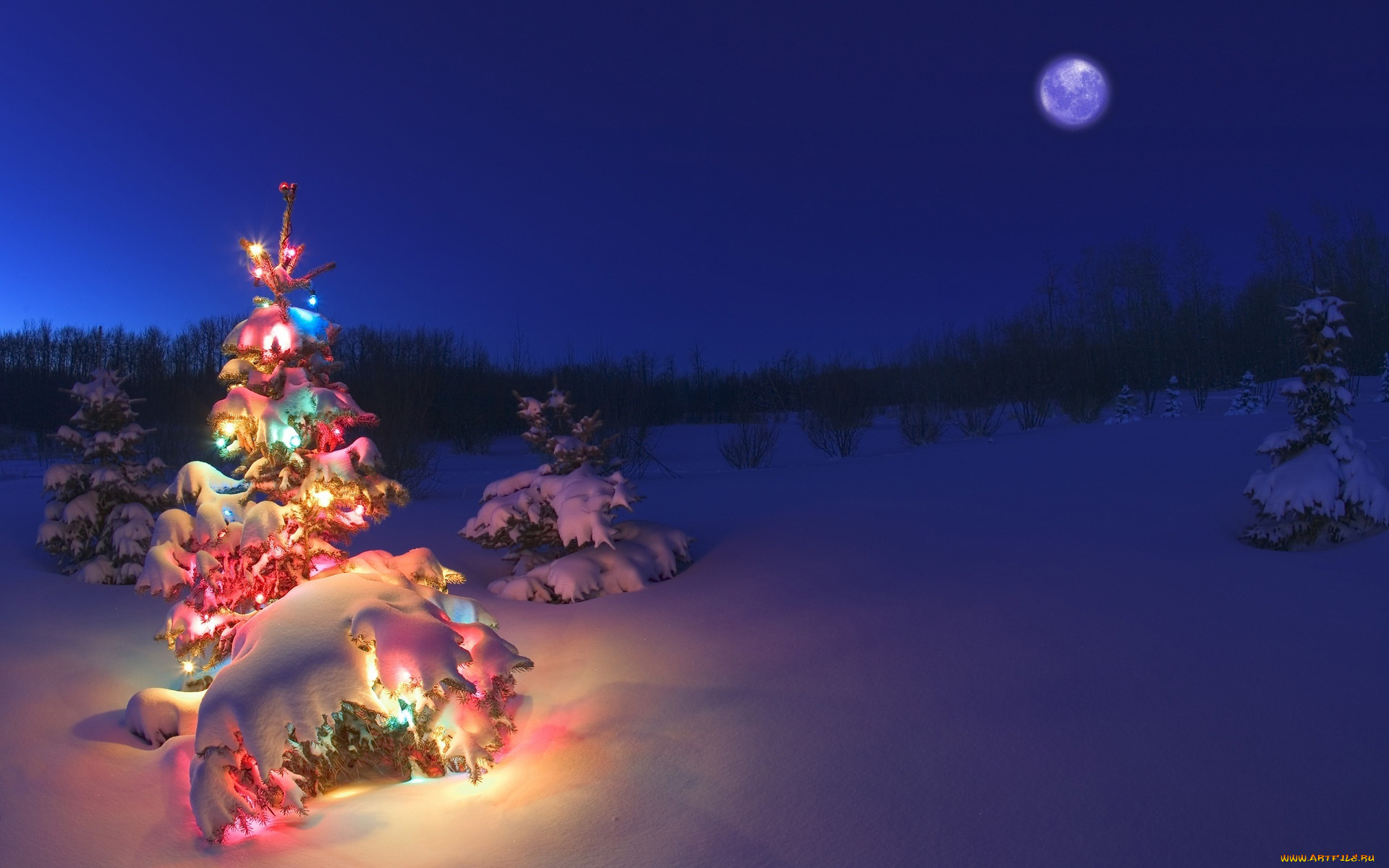 christmas, праздничные, Ёлки, украшения, елка, рождество