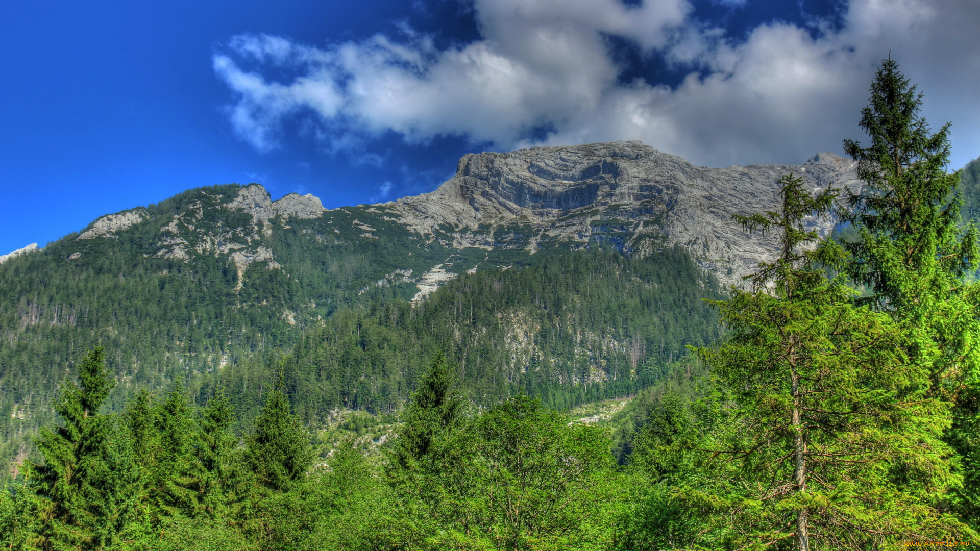 германия, бавария, природа, горы, лес, облака