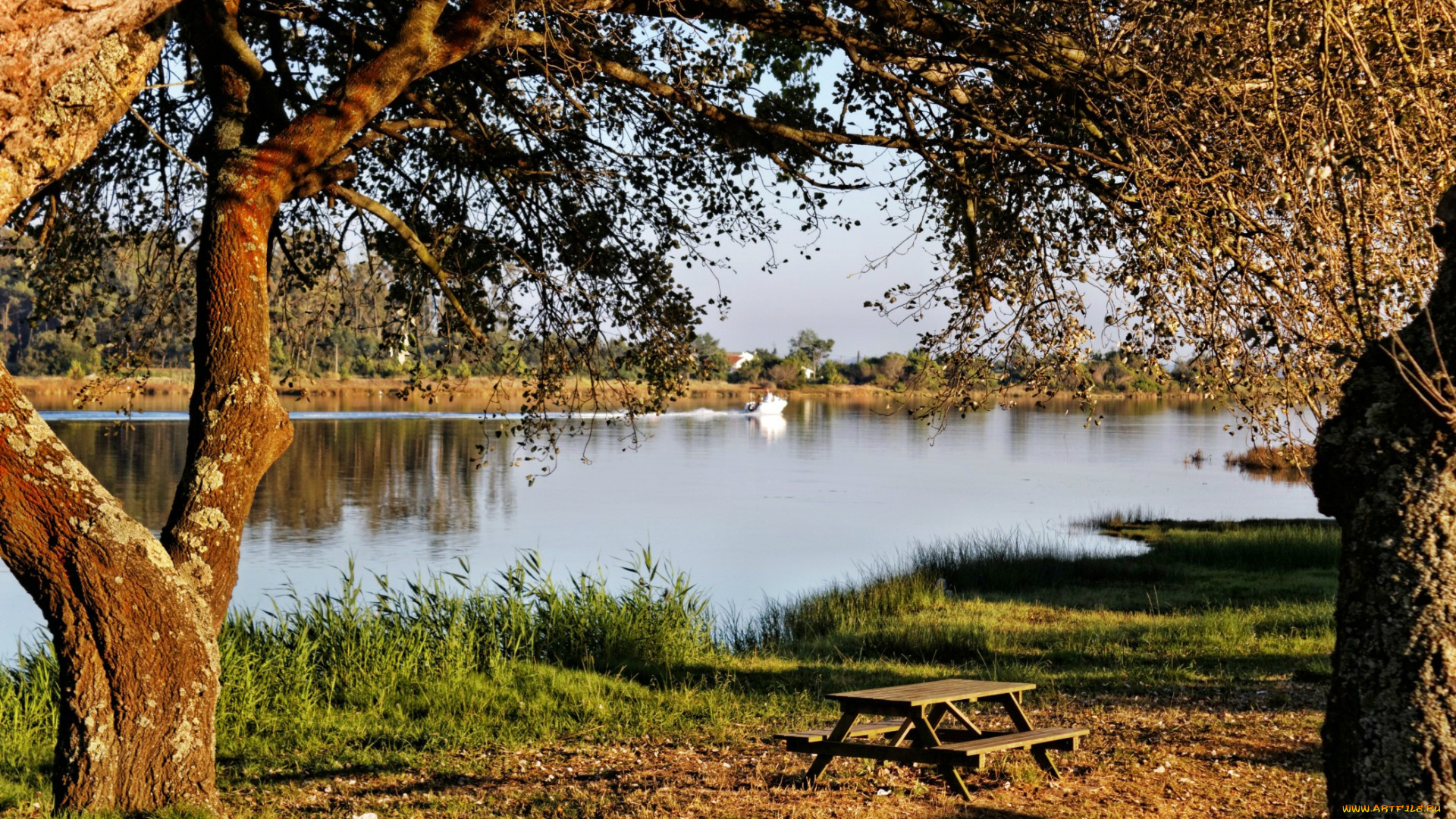 природа, реки, озера, скамейка, дерево, река