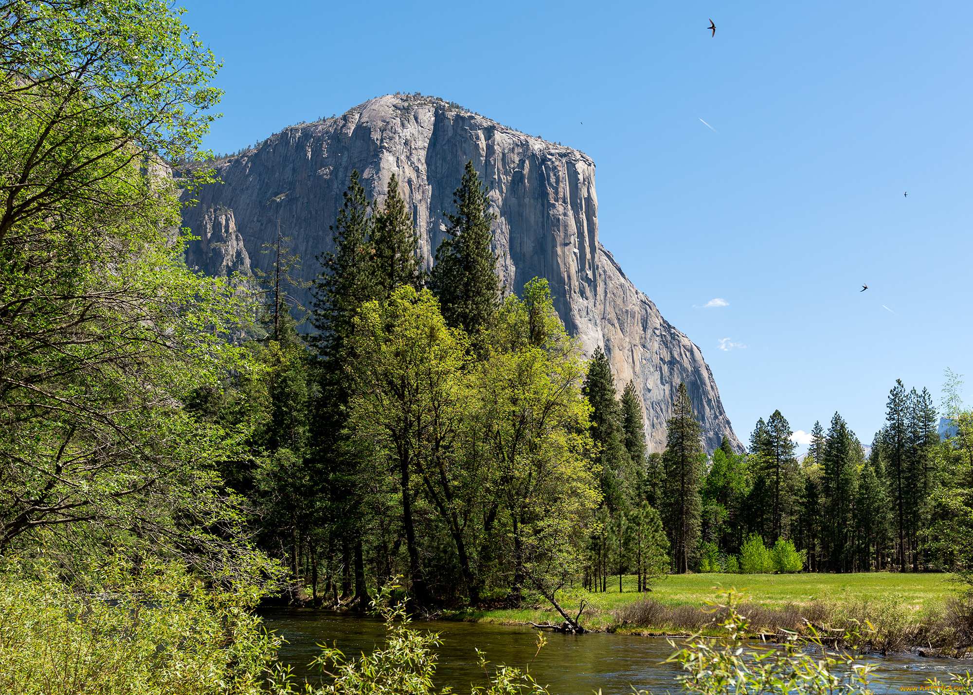 природа, горы, yosemite, national, park, река