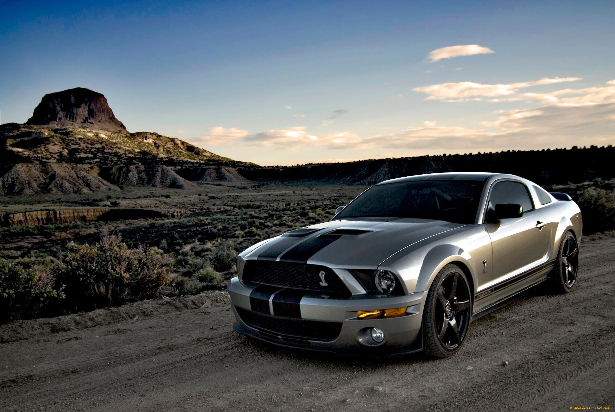 автомобили, mustang, cobra, shelby