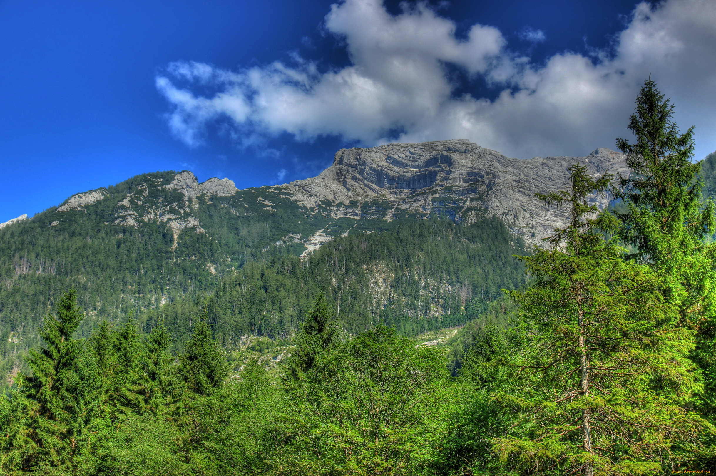 германия, бавария, природа, горы, лес, облака