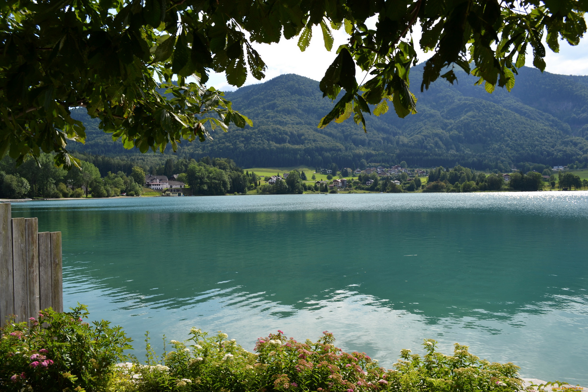 st, gilgen, austria, природа, реки, озера, австрия, озеро, горы, дома, лес, побережье