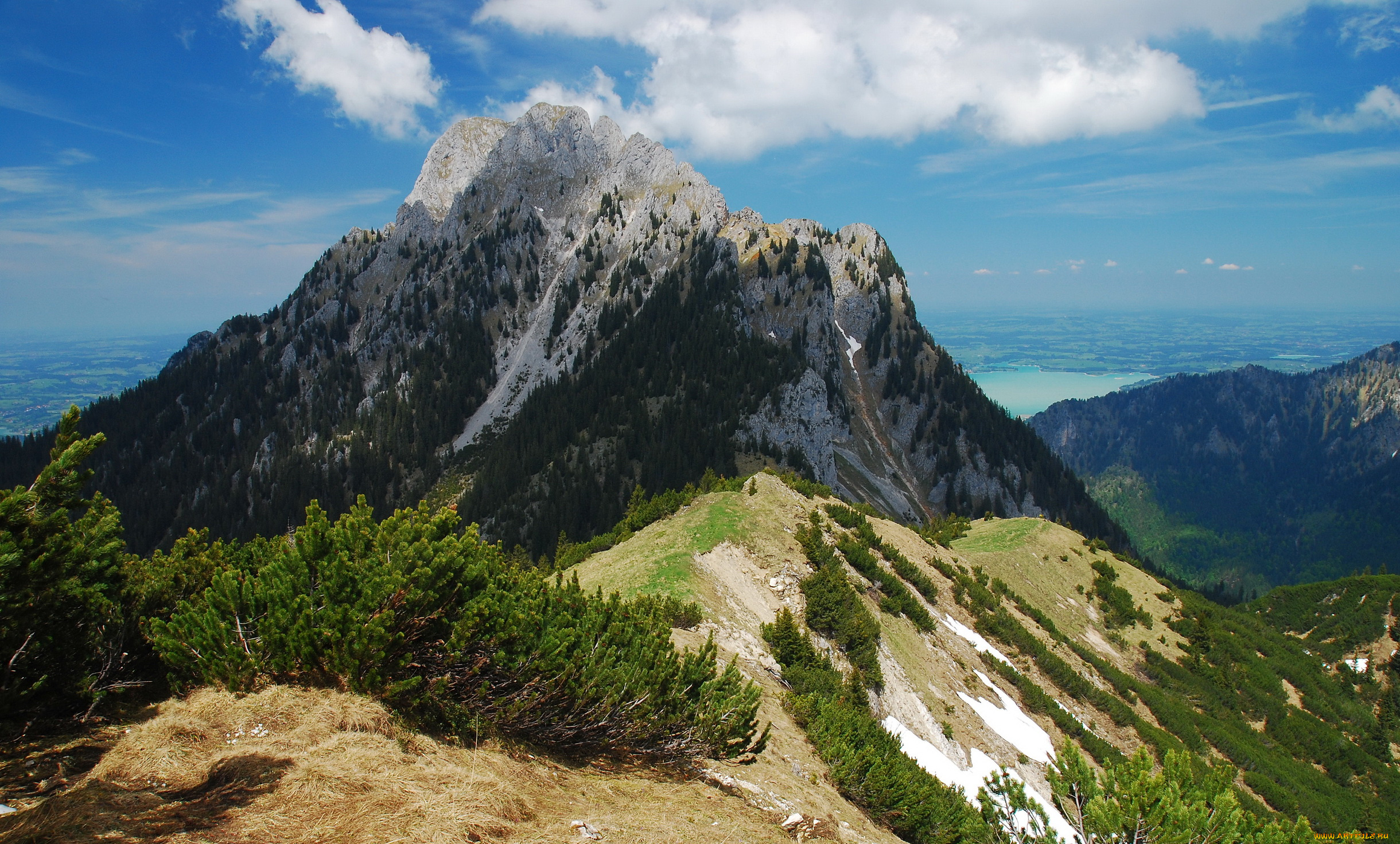 альпы, германия, природа, горы, деревья, трава