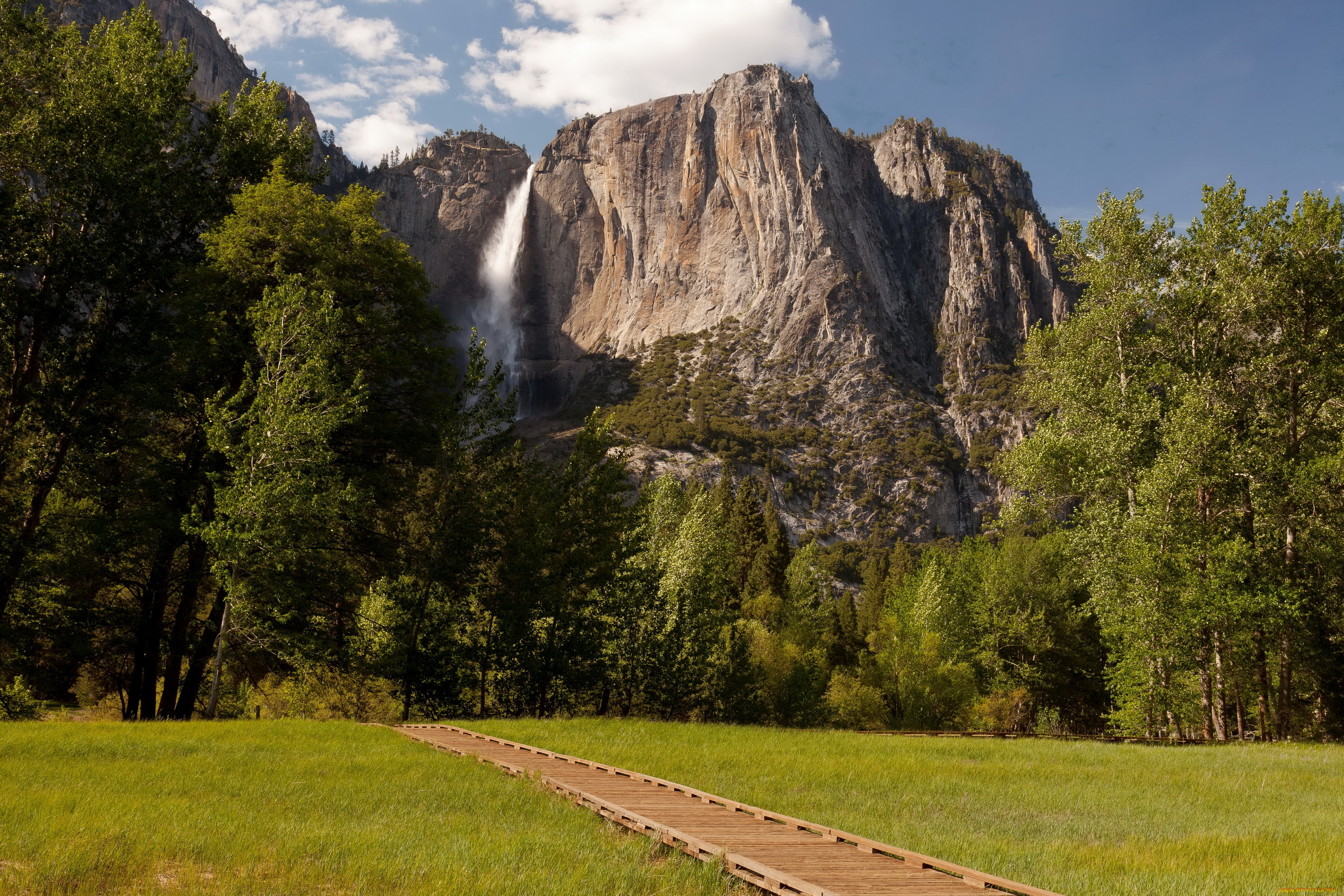 yosemite, national, park, природа, горы, деревья, тропа, лужайка