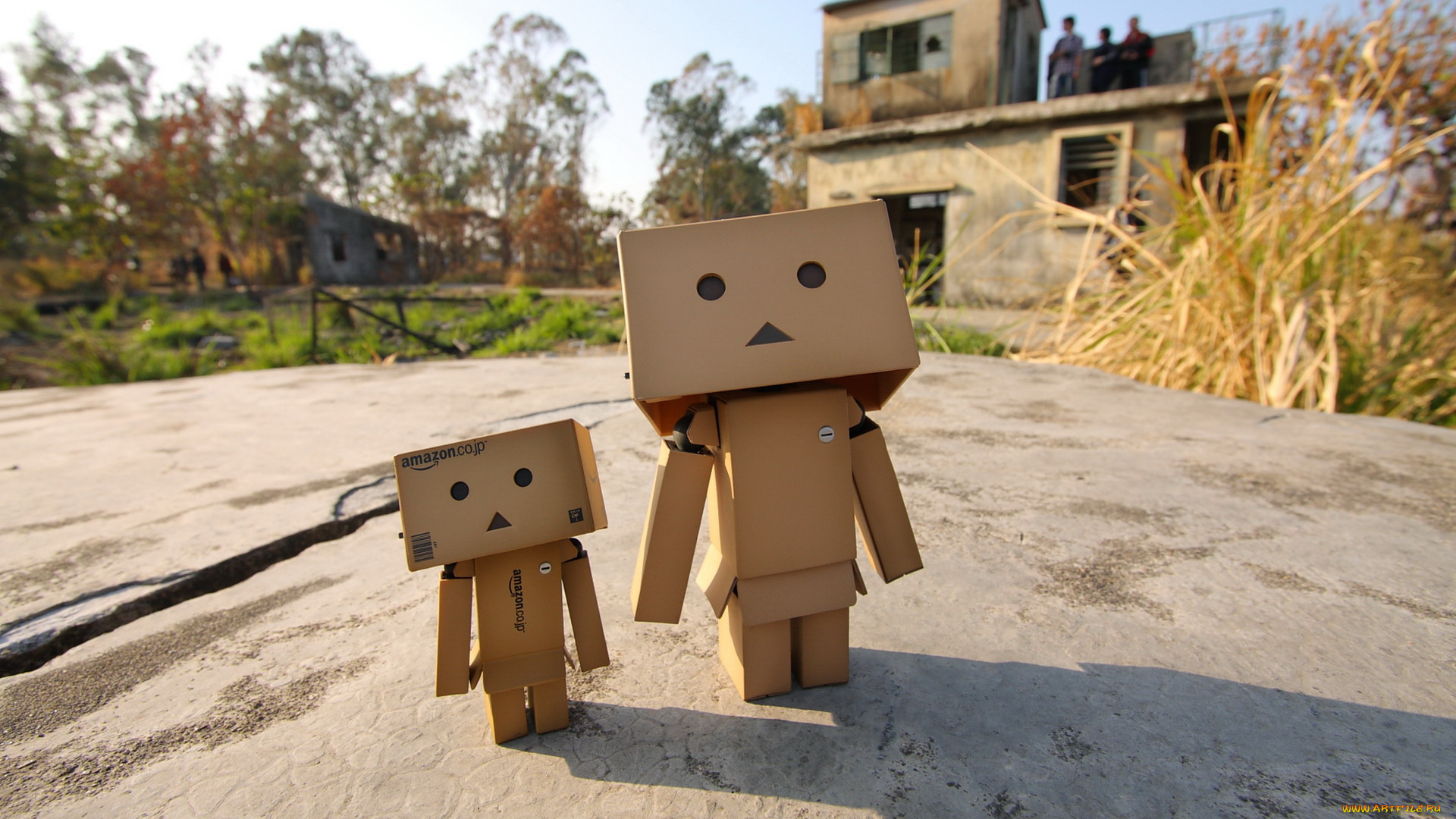 разное, данбо, , danboard, коробочка