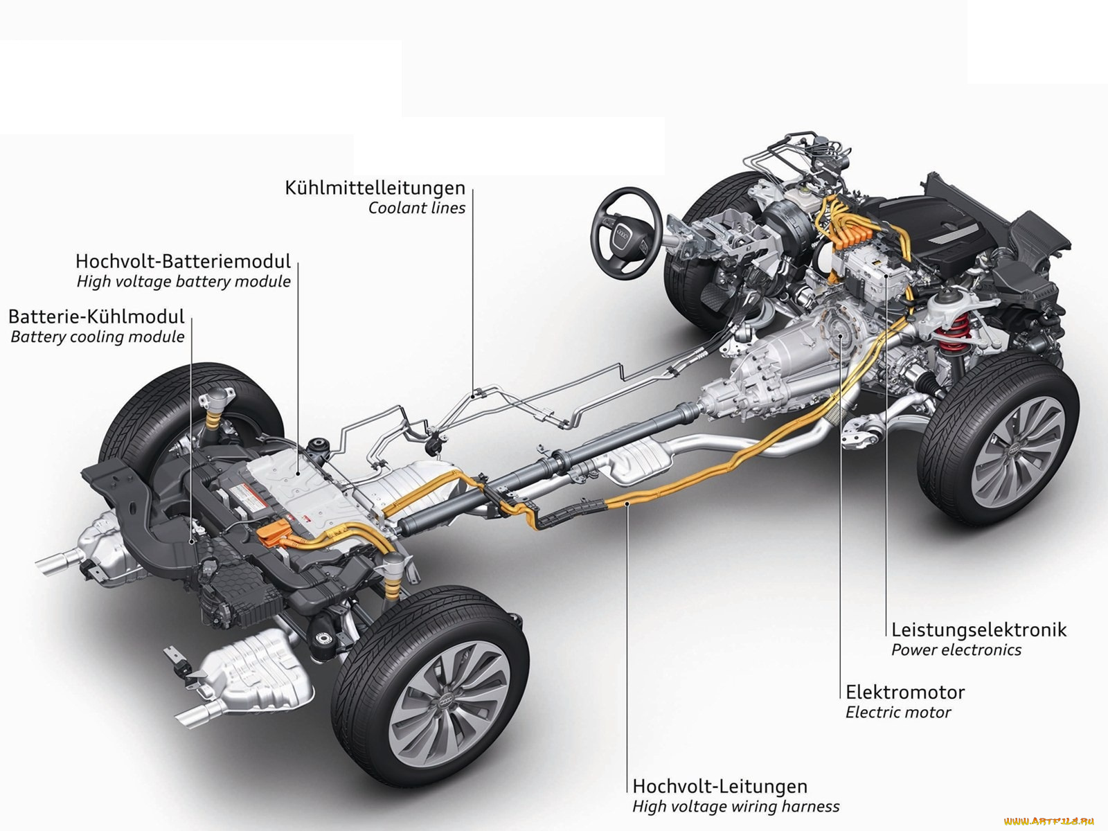 audi, автомобили, рентген