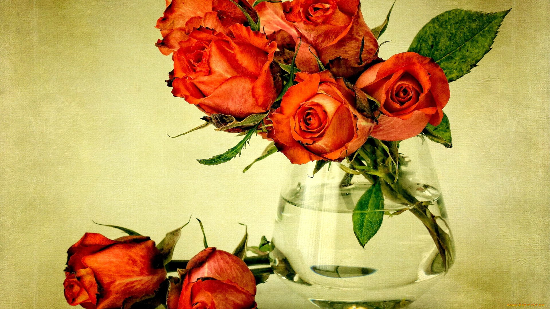 цветы, розы, букет, ваза, красный