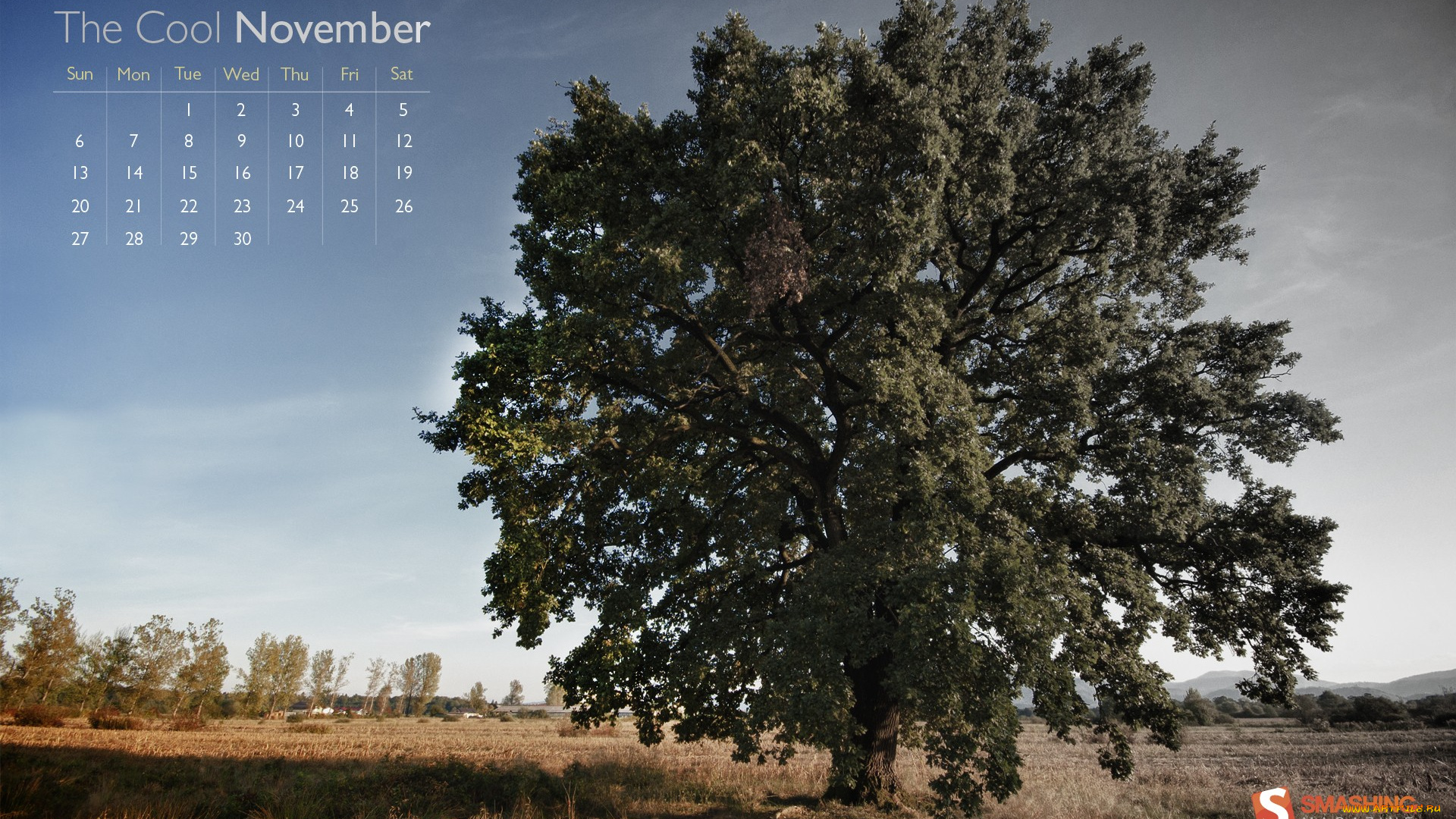 календари, природа, поле, дерево