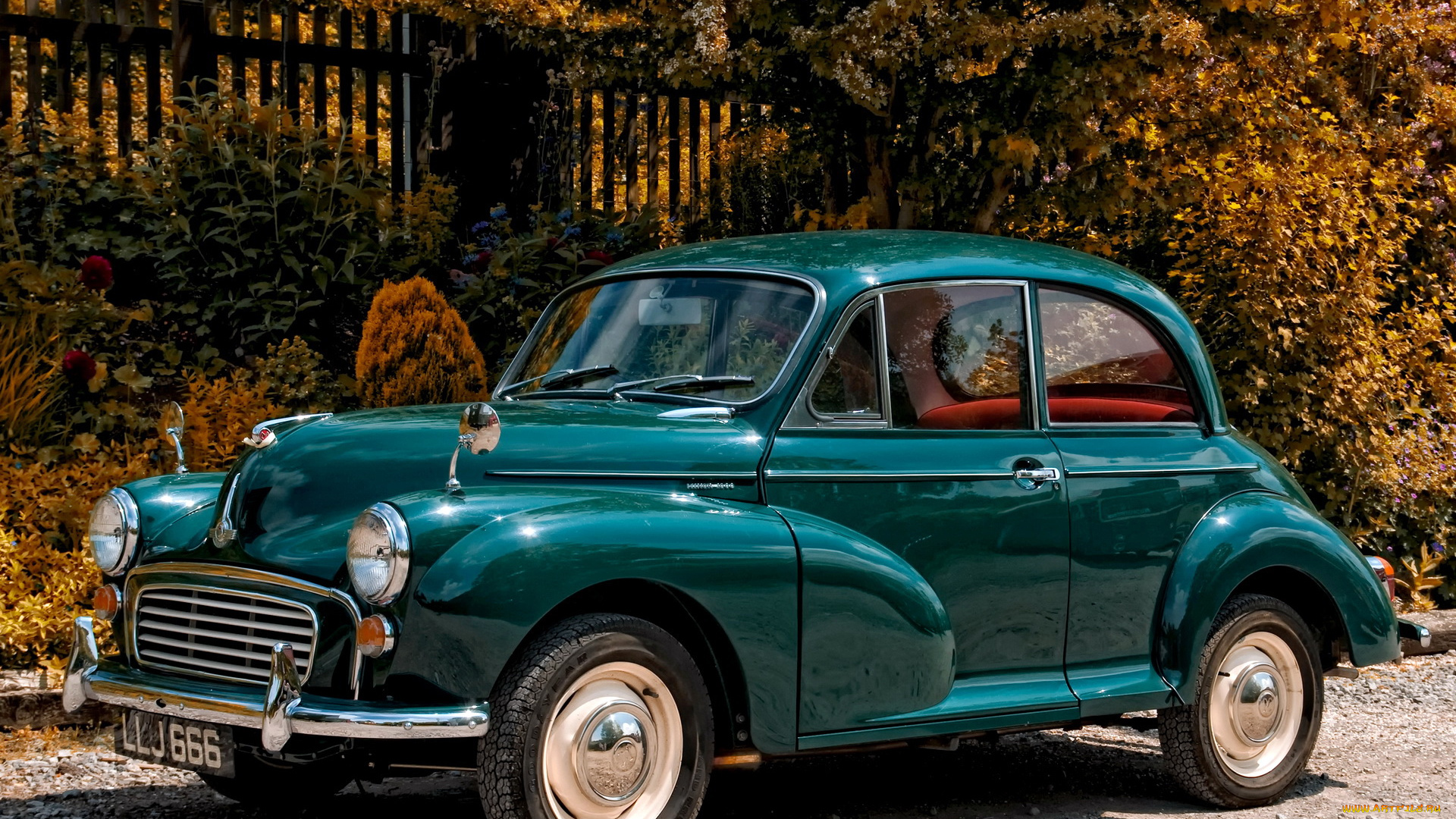 morris, minor, 1000, 1956–70, автомобили, классика, ретро