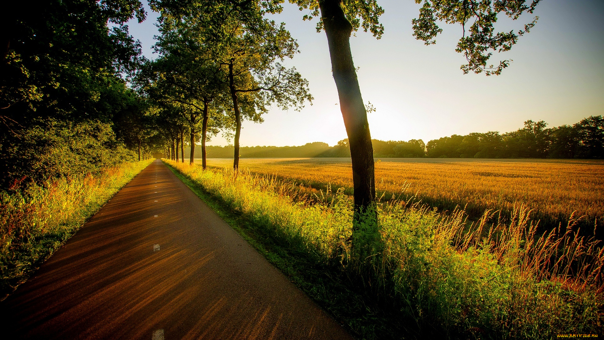 природа, дороги, лес, field, закат, дорога, деревья, трава, прогулка, view, walk, grass, trees, road, поле, forest, sunset, вид