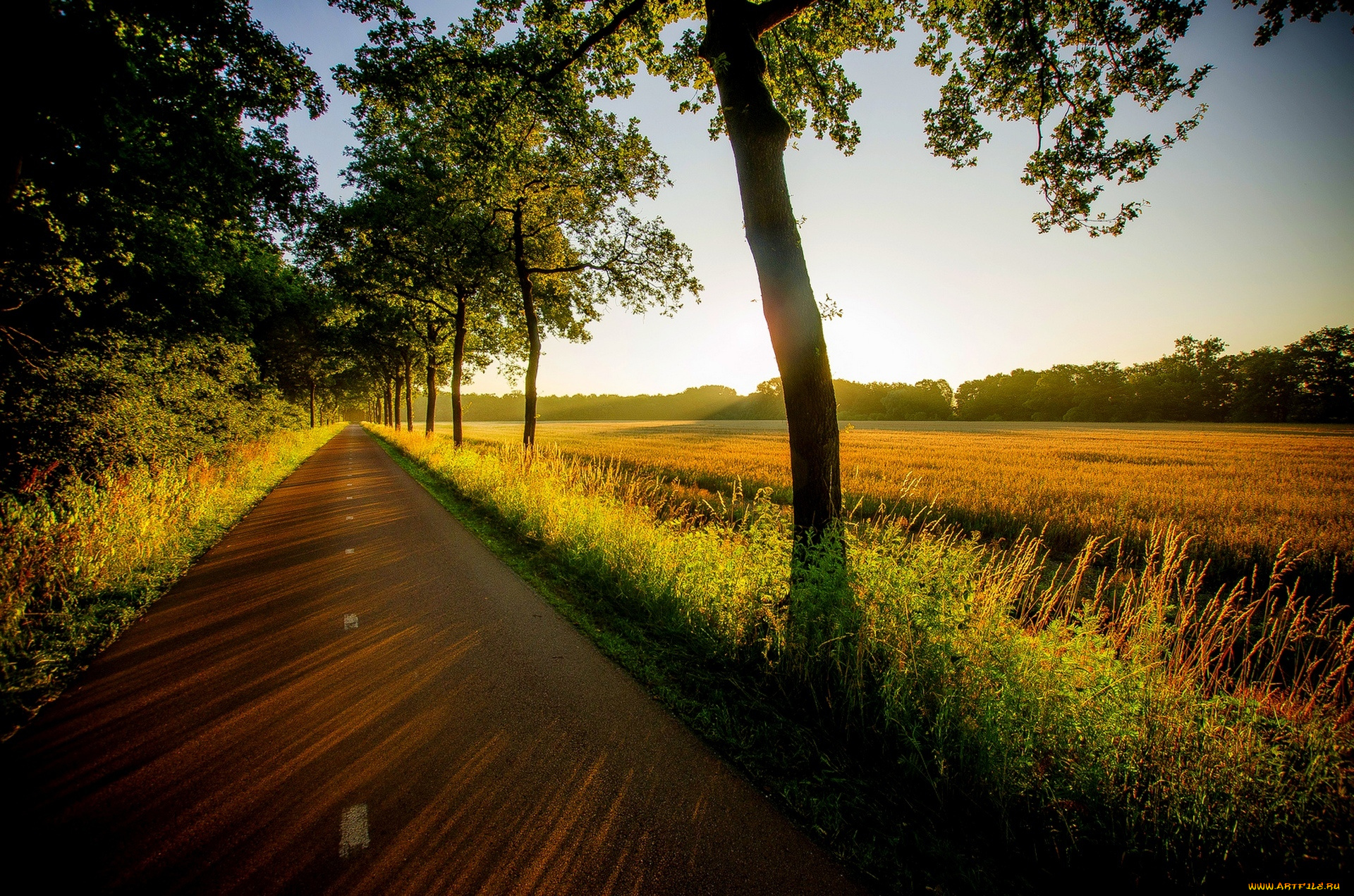 природа, дороги, лес, field, закат, дорога, деревья, трава, прогулка, view, walk, grass, trees, road, поле, forest, sunset, вид