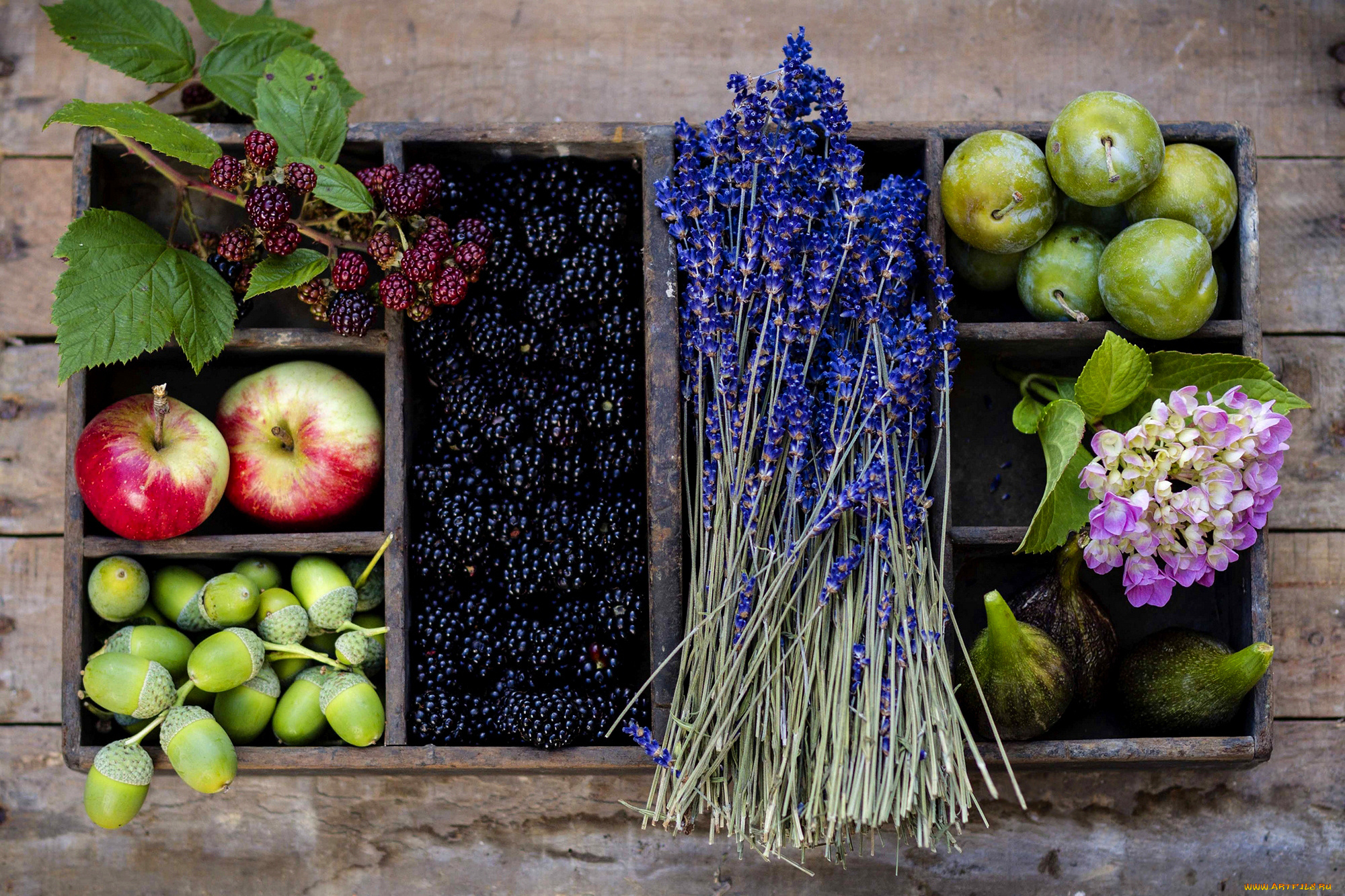 еда, фрукты, ягоды, цветы, лаванда, ежевика, сливы, яблоки, желуди, осень, корзина