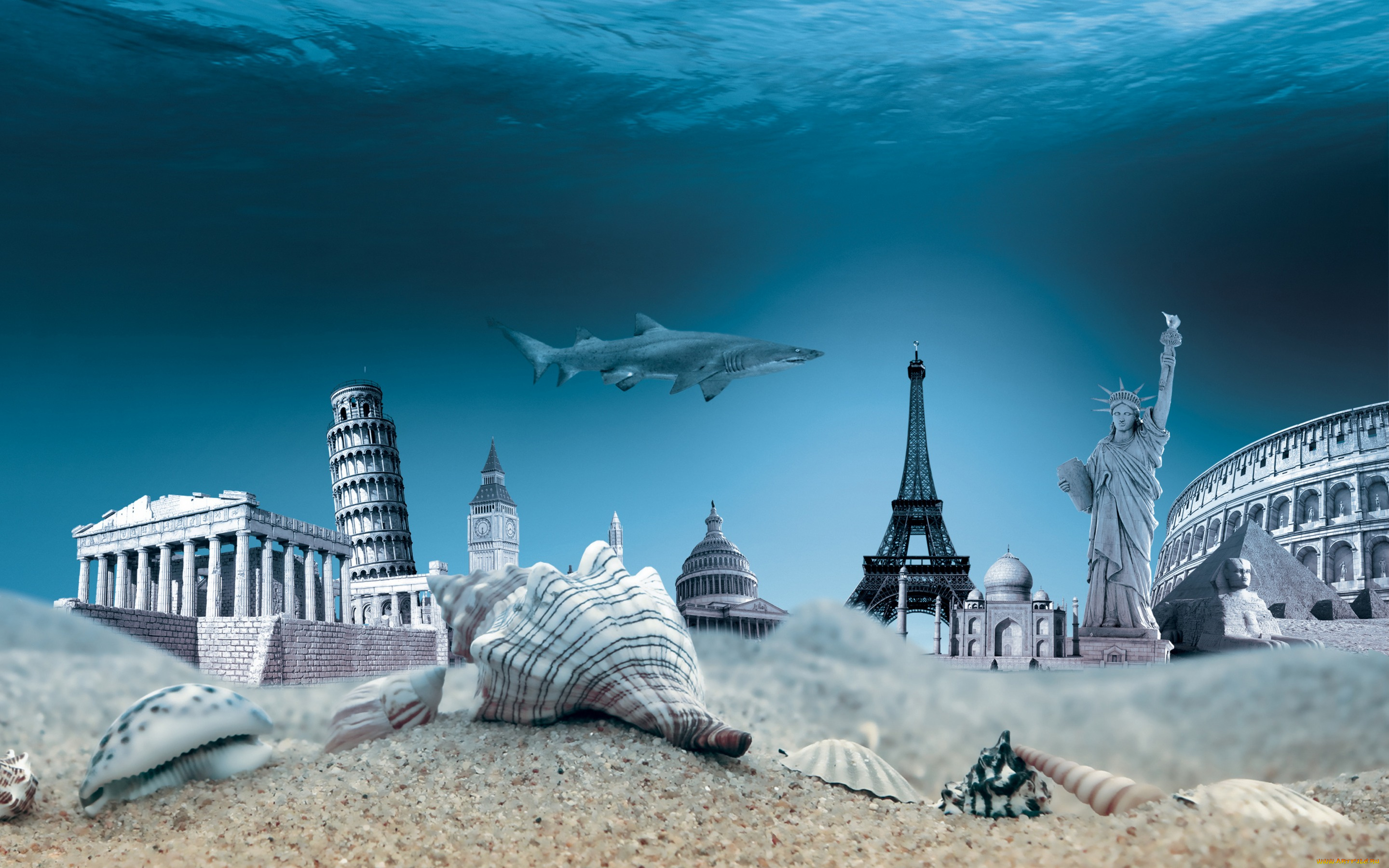 разное, компьютерный, дизайн, seashells, world, travel, ocean, ракушки, underwater, дно, море