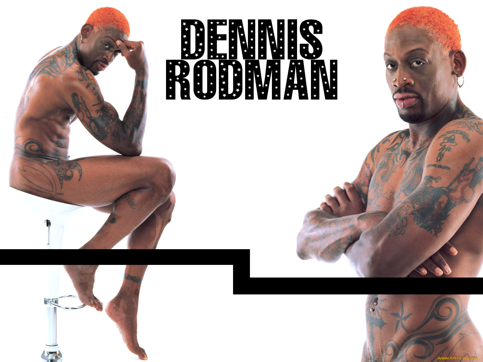 Dennis Rodman Likes Trannies.