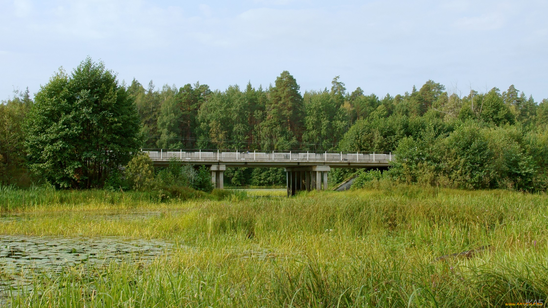 нижегородский, край, природа, пейзажи, протока, мост, лес