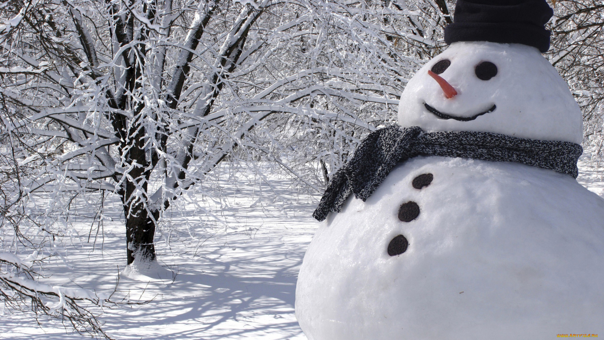 праздничные, снеговики, деревья, снеговик, шапка, шарф, снег