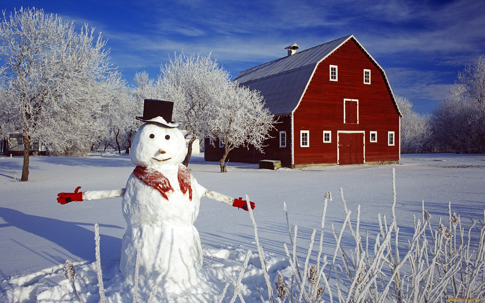 праздничные, снеговики, деревья, дом, снеговик