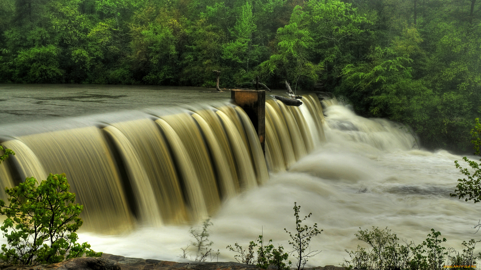 природа, водопады, лес, водопад, река