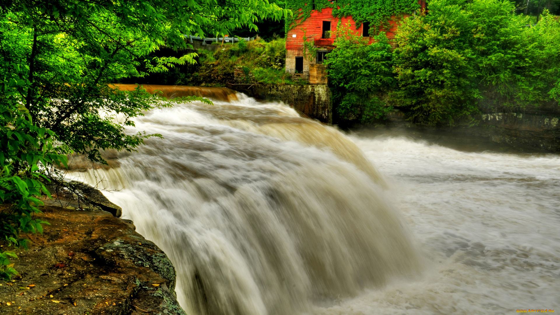 природа, водопады, водопад, река, лес