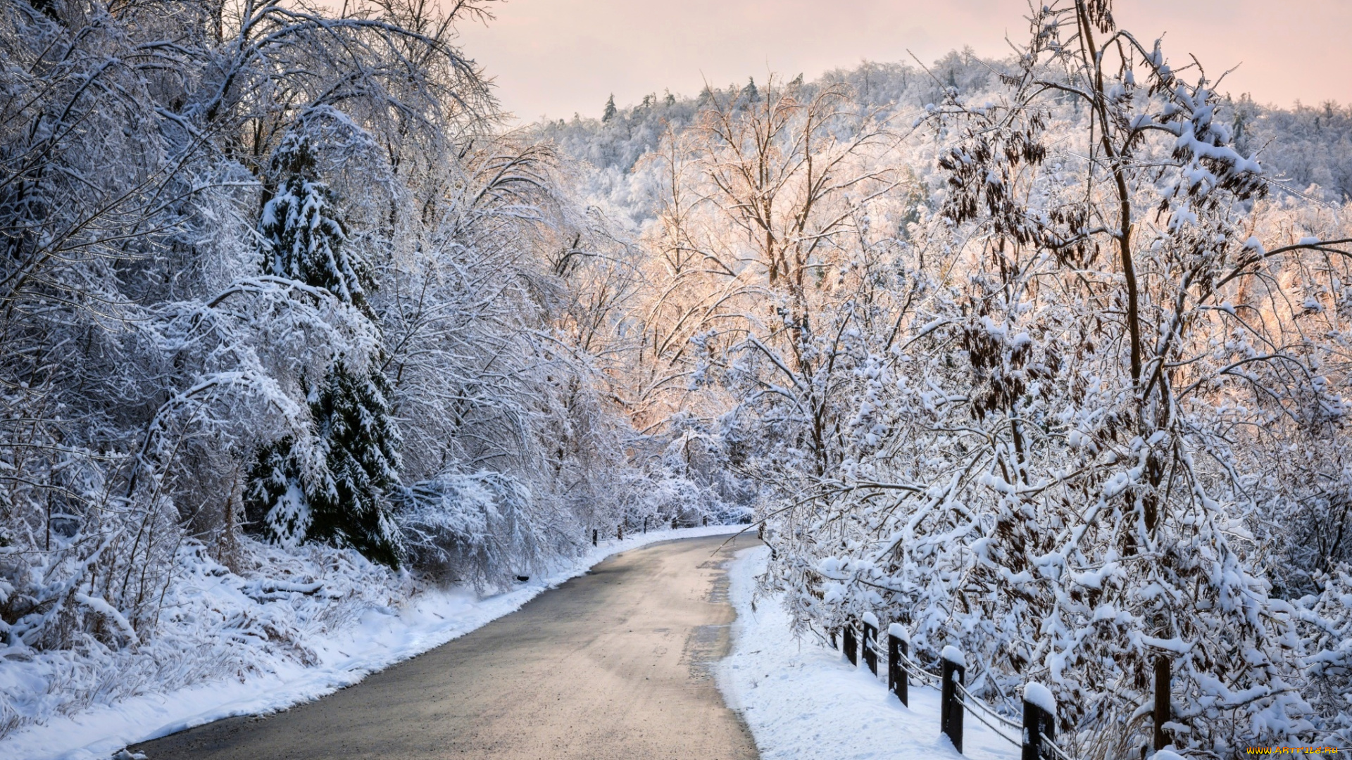 природа, зима, снег, дорога, деревья, лес, небо, пейзаж, forest, road, nature, winter, sky, white, beautiful, cool, nice, snow, sunset, path, trees