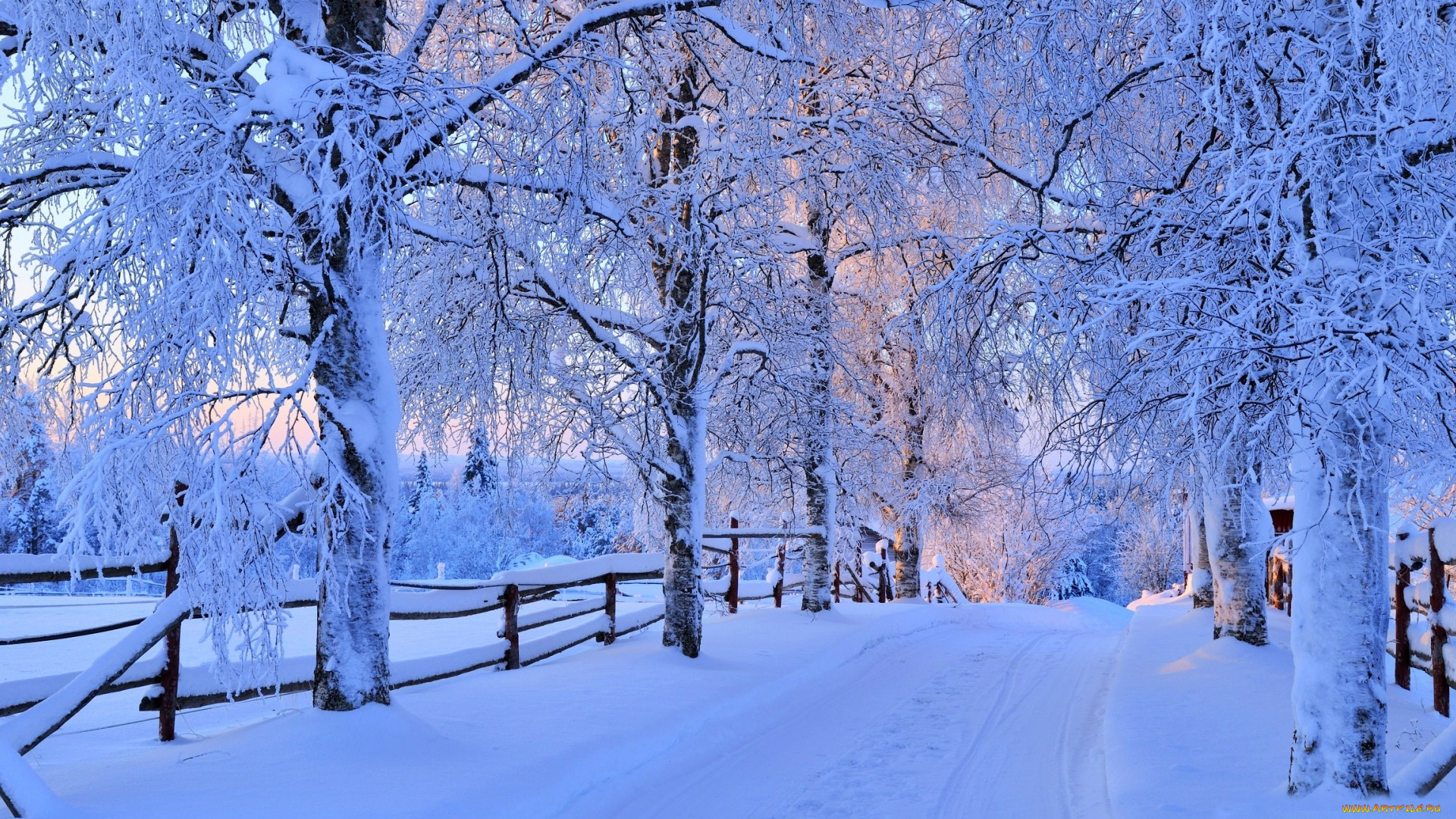 природа, зима, снег, дорога, деревья, лес, небо, пейзаж, forest, road, nature, winter, sky, white, beautiful, cool, nice, snow, sunset, path, trees