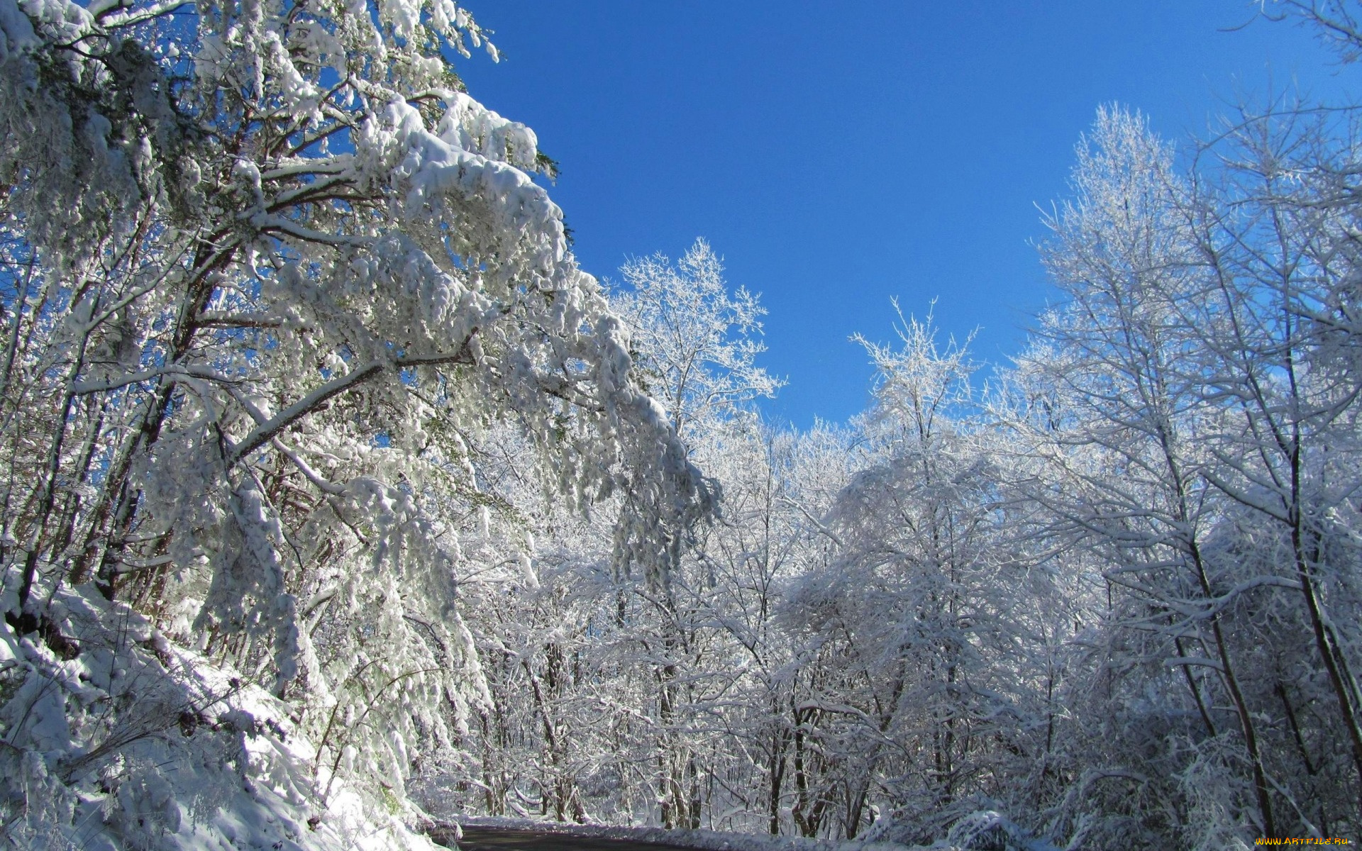 природа, зима, снег, дорога