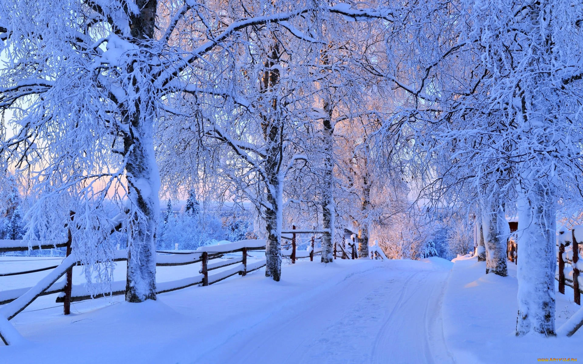 природа, зима, снег, дорога, деревья, лес, небо, пейзаж, forest, road, nature, winter, sky, white, beautiful, cool, nice, snow, sunset, path, trees