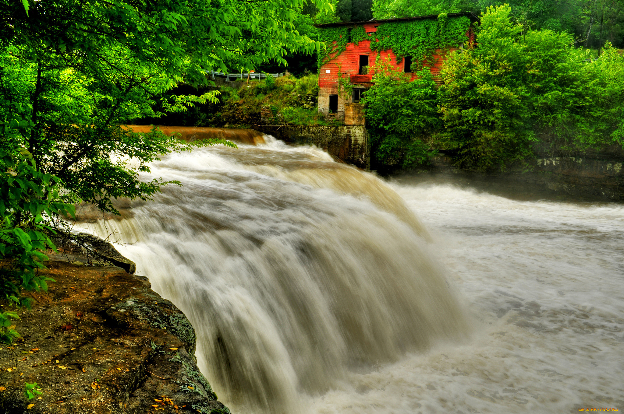 природа, водопады, водопад, река, лес