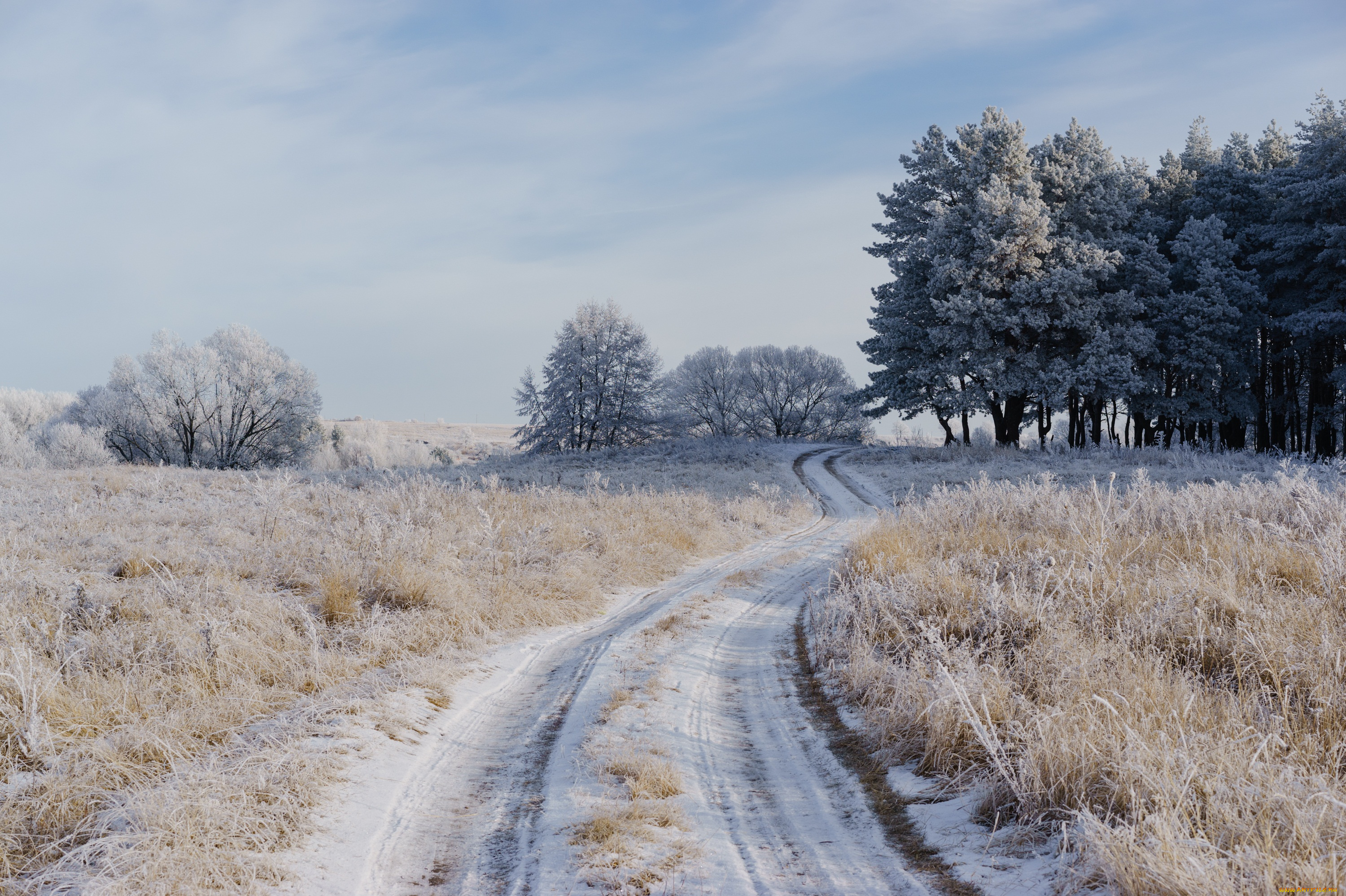 природа, зима, дорога, поле, иней