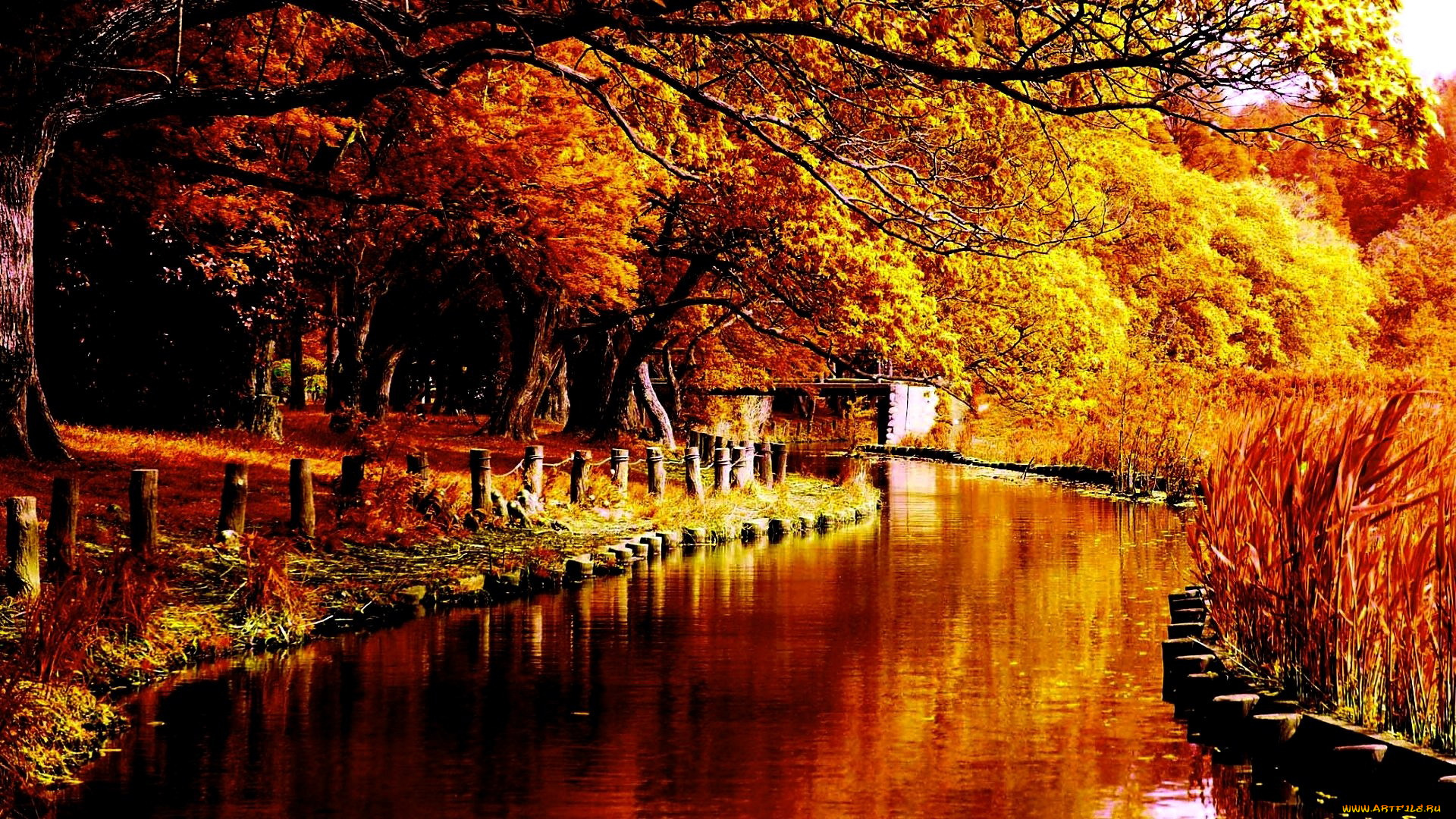 природа, реки, озера, осень, деревья, вода