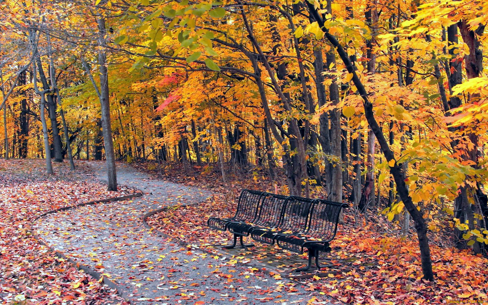 природа, парк, листопад, осень, листва, аллея, деревья, скамейка