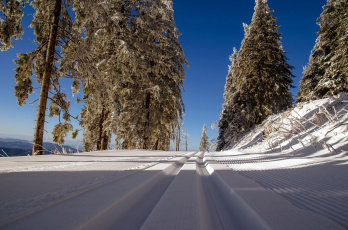 Картинка природа зима снег колея дорога деревья