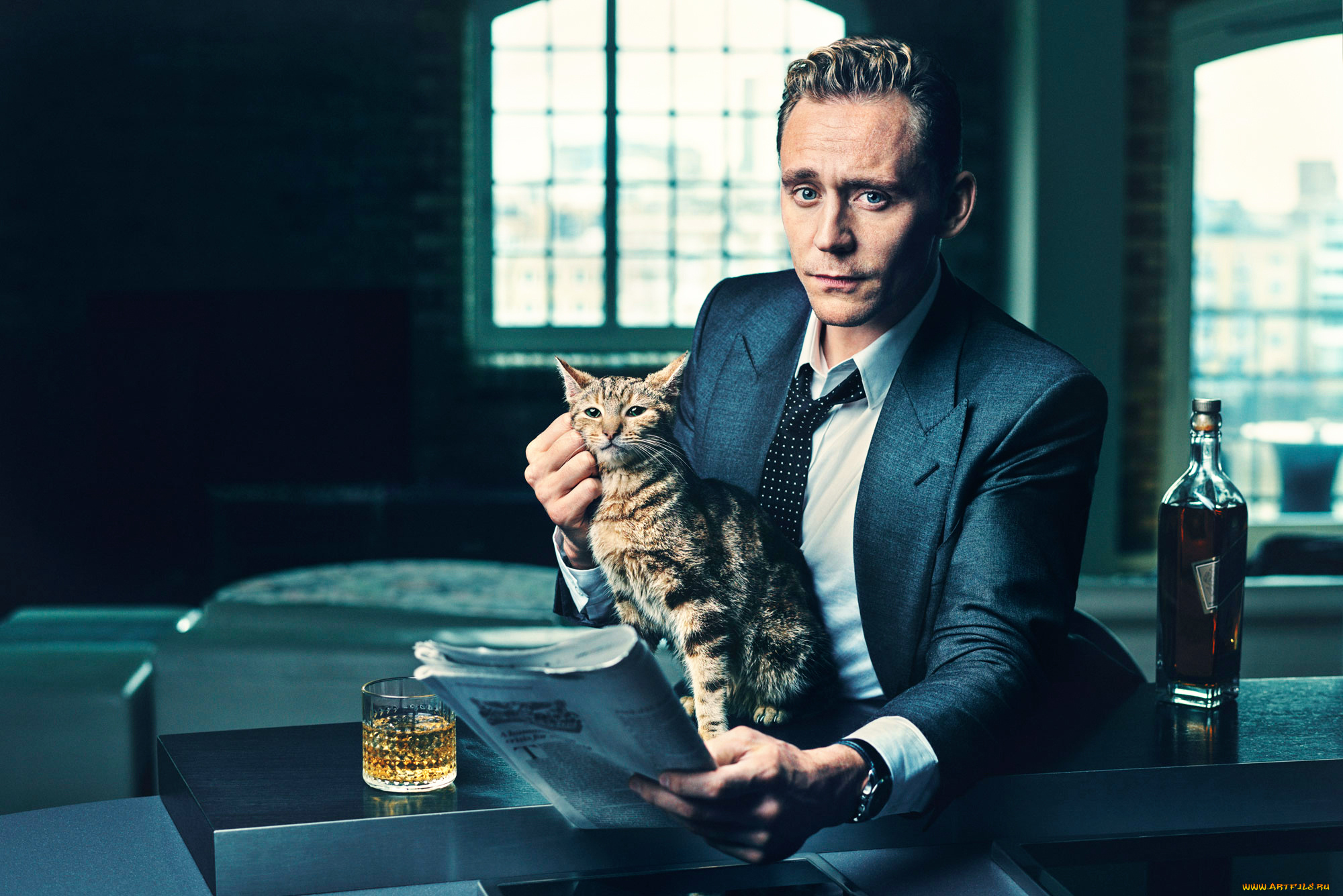 мужчины, tom, hiddleston, газета, кот