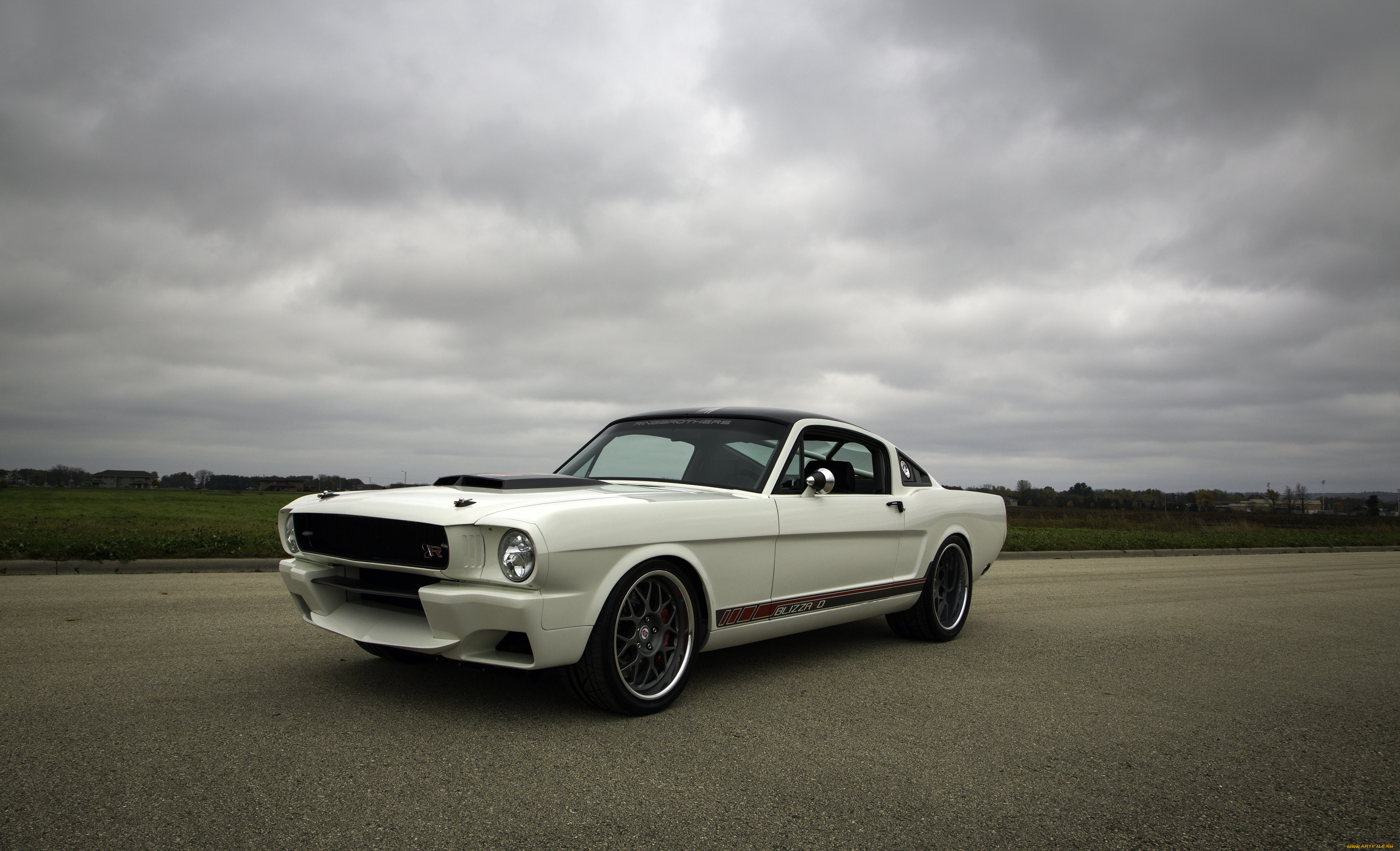 автомобили, mustang, ford, blizzard, 1965, white, fastback, side, rear, ringbrothers