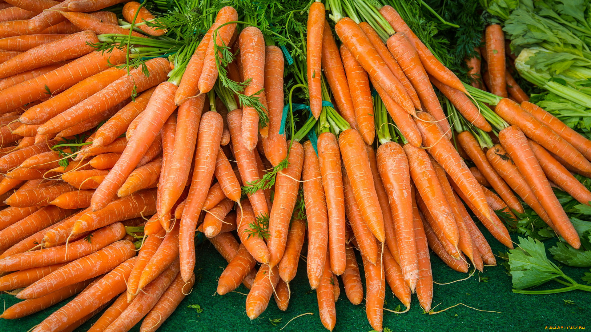 еда, морковь, оранжевая, корнеплоды, урожай