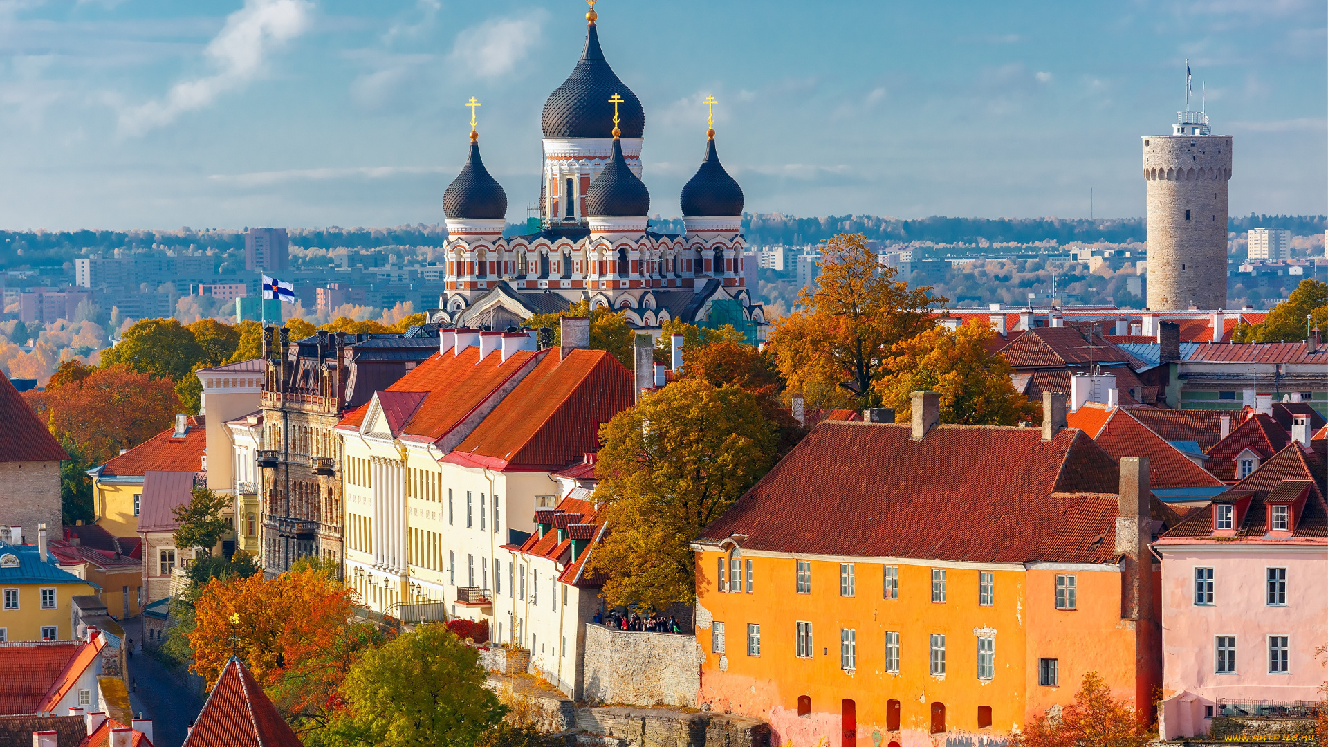 города, таллин, , эстония, таллин, дома, церковь, купола, крыши, башня, флаг