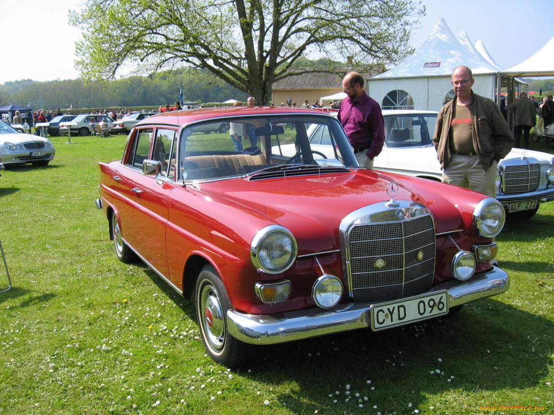 mercedes, автомобили, benz