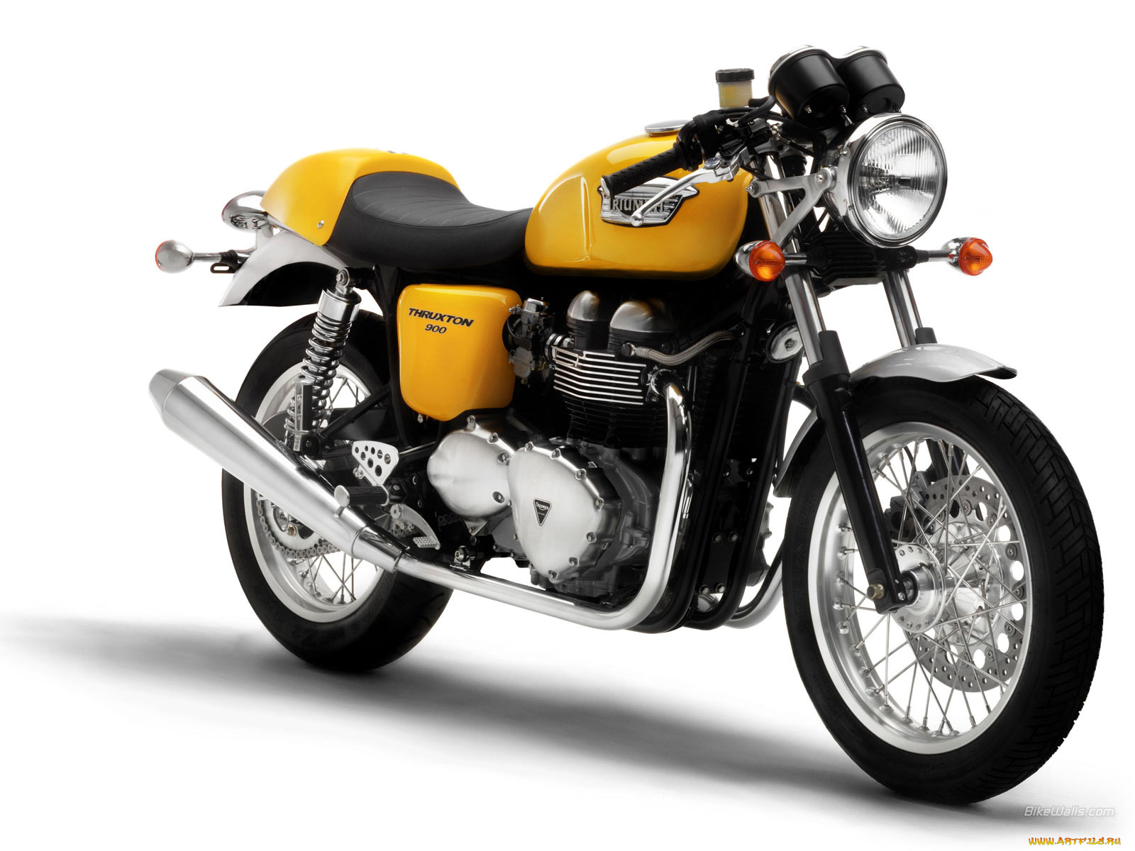 triumph, thruxton, 2006, мотоциклы