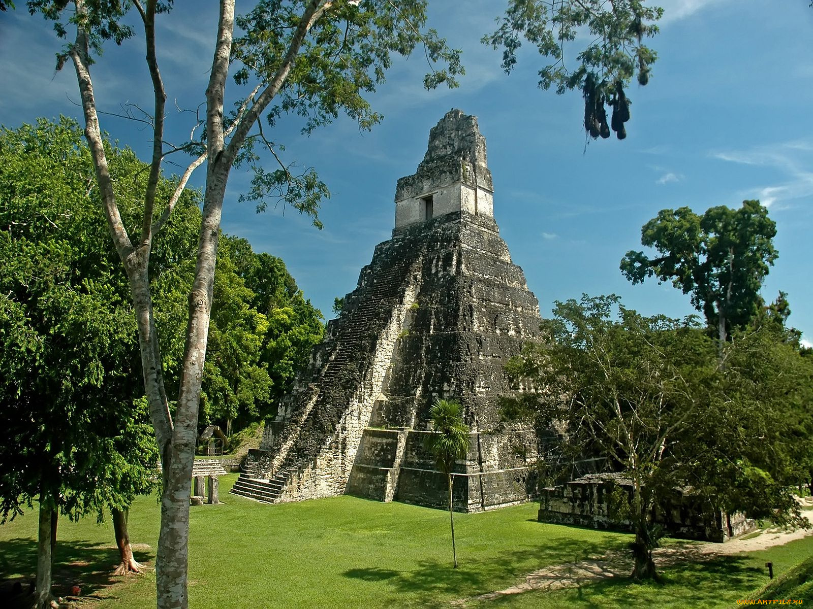 tikal, guatemala, города, исторические, архитектурные, памятники