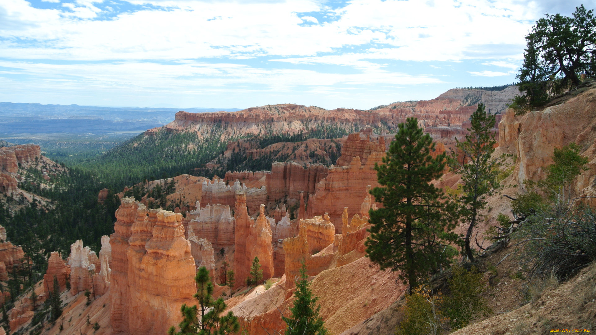 bryce, canyon, utah, природа, горы, каньон, скалы, пики, леса, сша