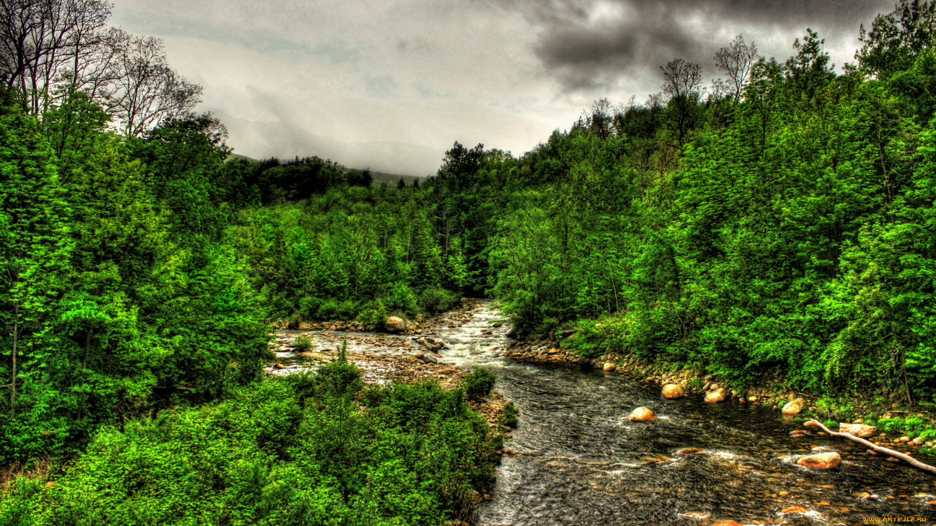 walloomsac, river, bennington, vermont, природа, реки, озера, берег, река, лес