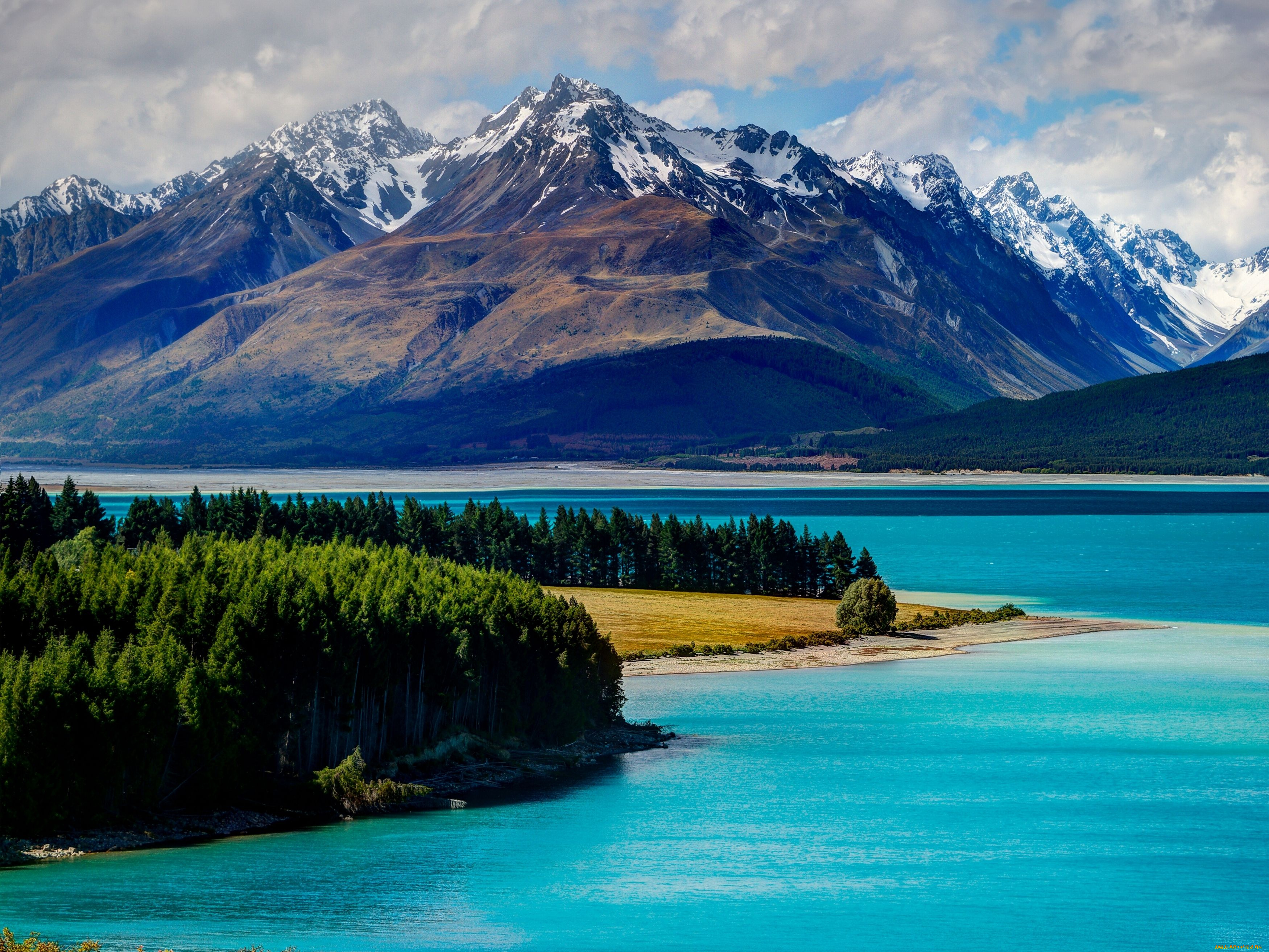 lake, tekapo, new, zealand, природа, реки, озера, деревья, лес, горы, новая, зеландия, озеро, текапо