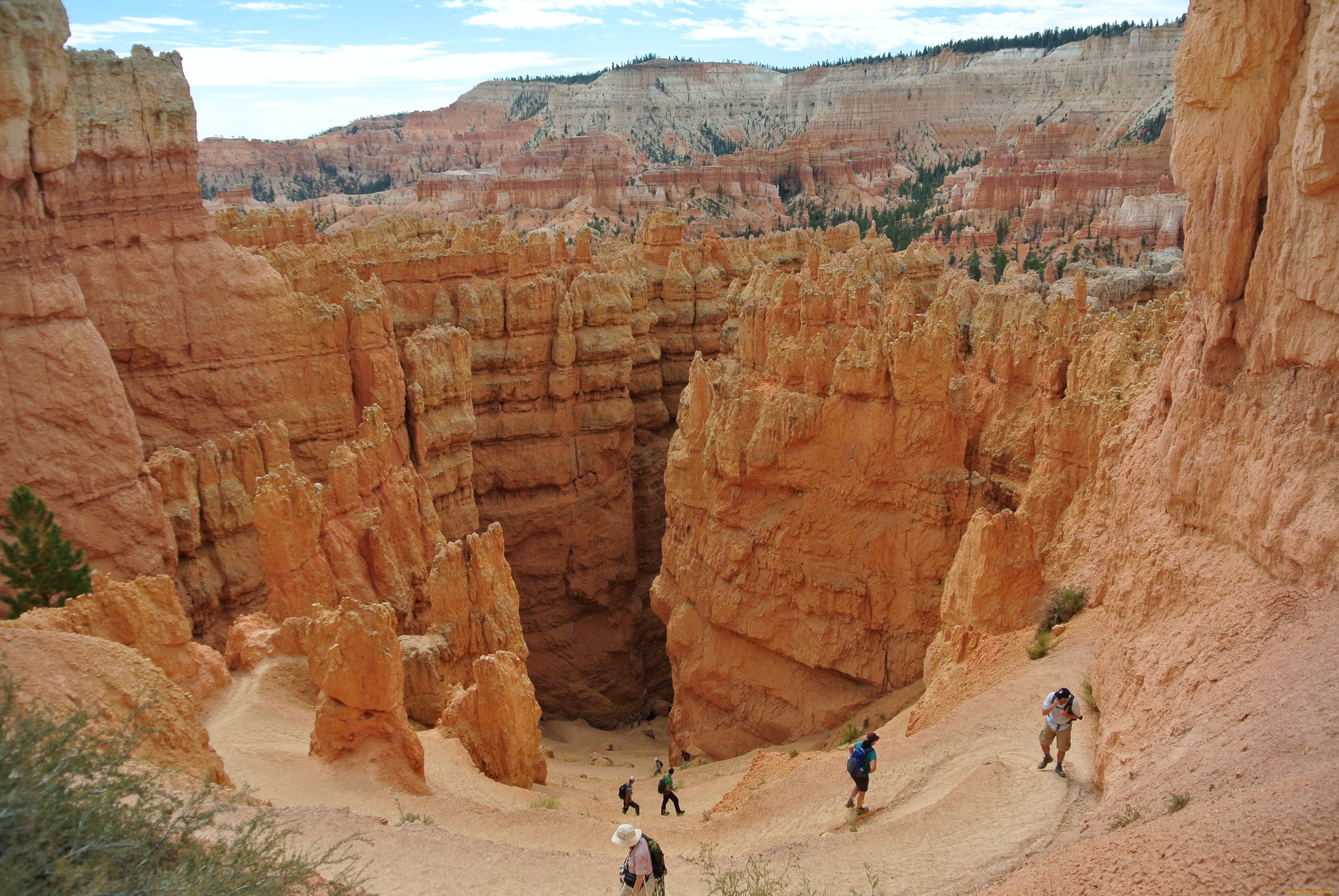 bryce, canyon, utah, природа, горы, каньон, скалы, пропасть, туристы, сша