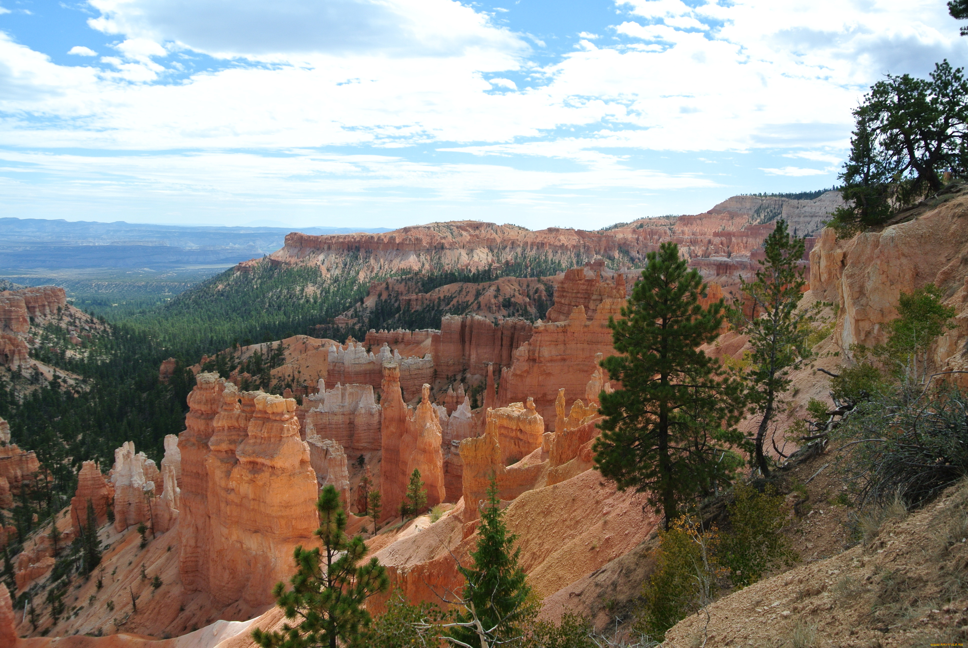 bryce, canyon, utah, природа, горы, каньон, скалы, пики, леса, сша