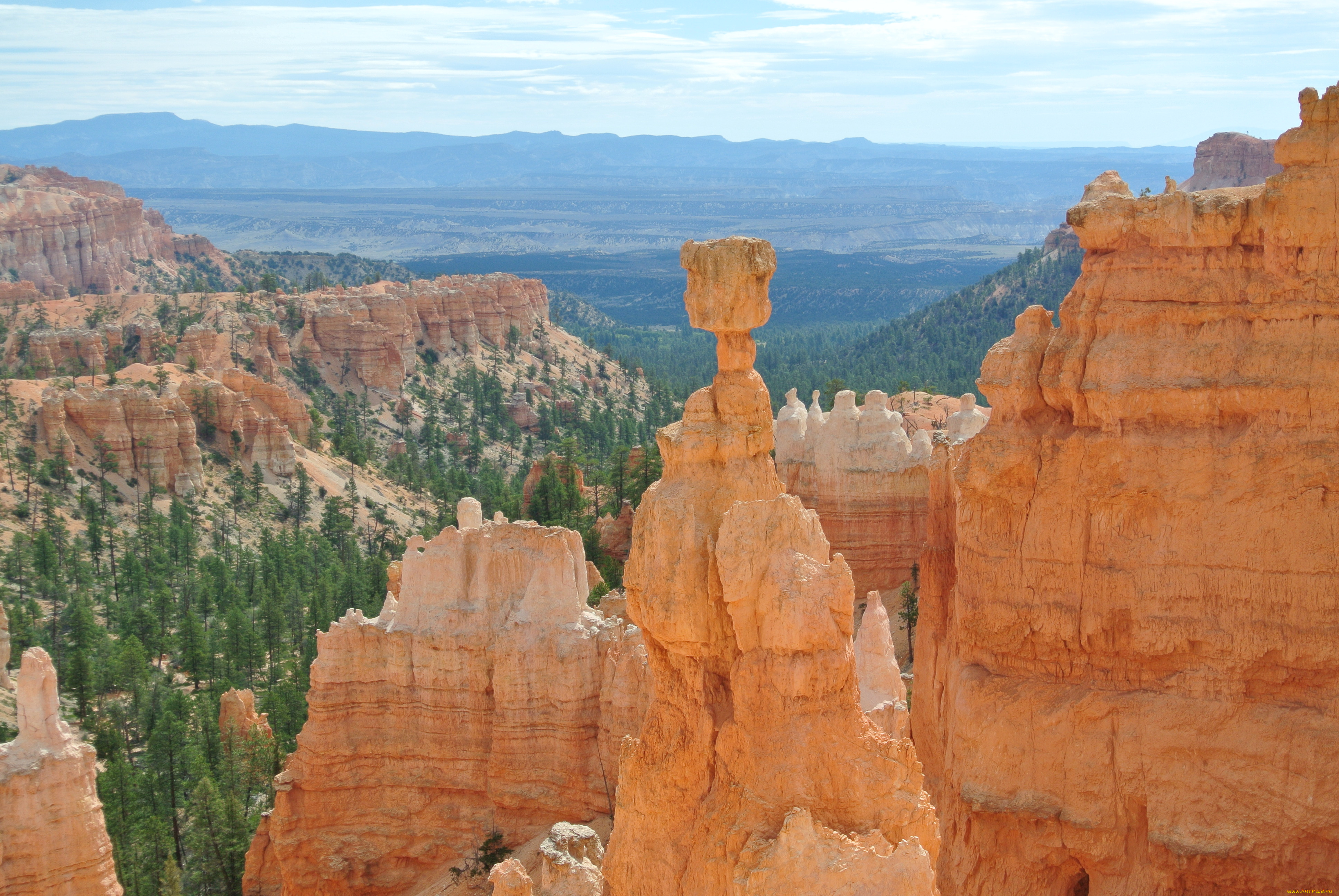 bryce, canyon, utah, природа, горы, сша, скалы, пики, каменный, гриб, каньон