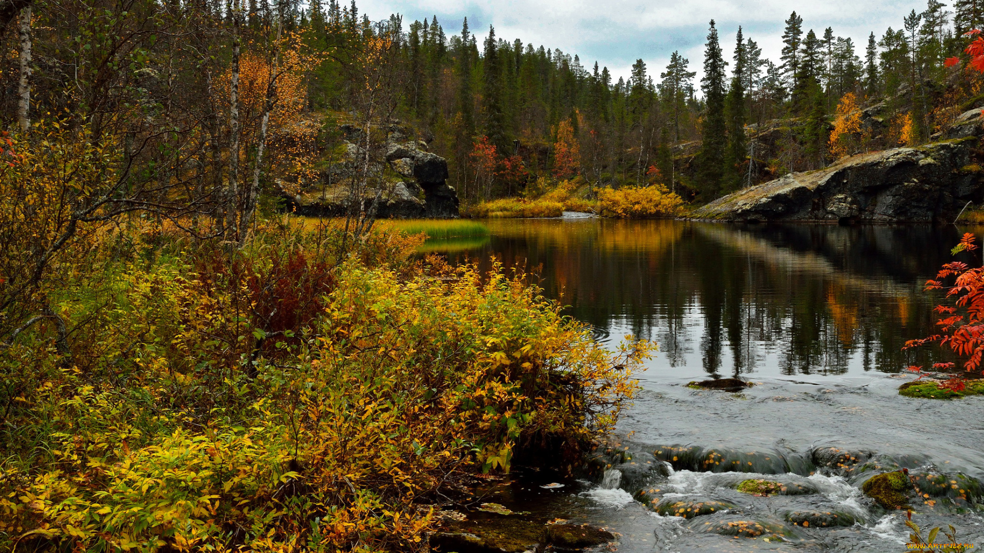 природа, реки, озера, лапландия, финляндия, река, лес, трава, осень