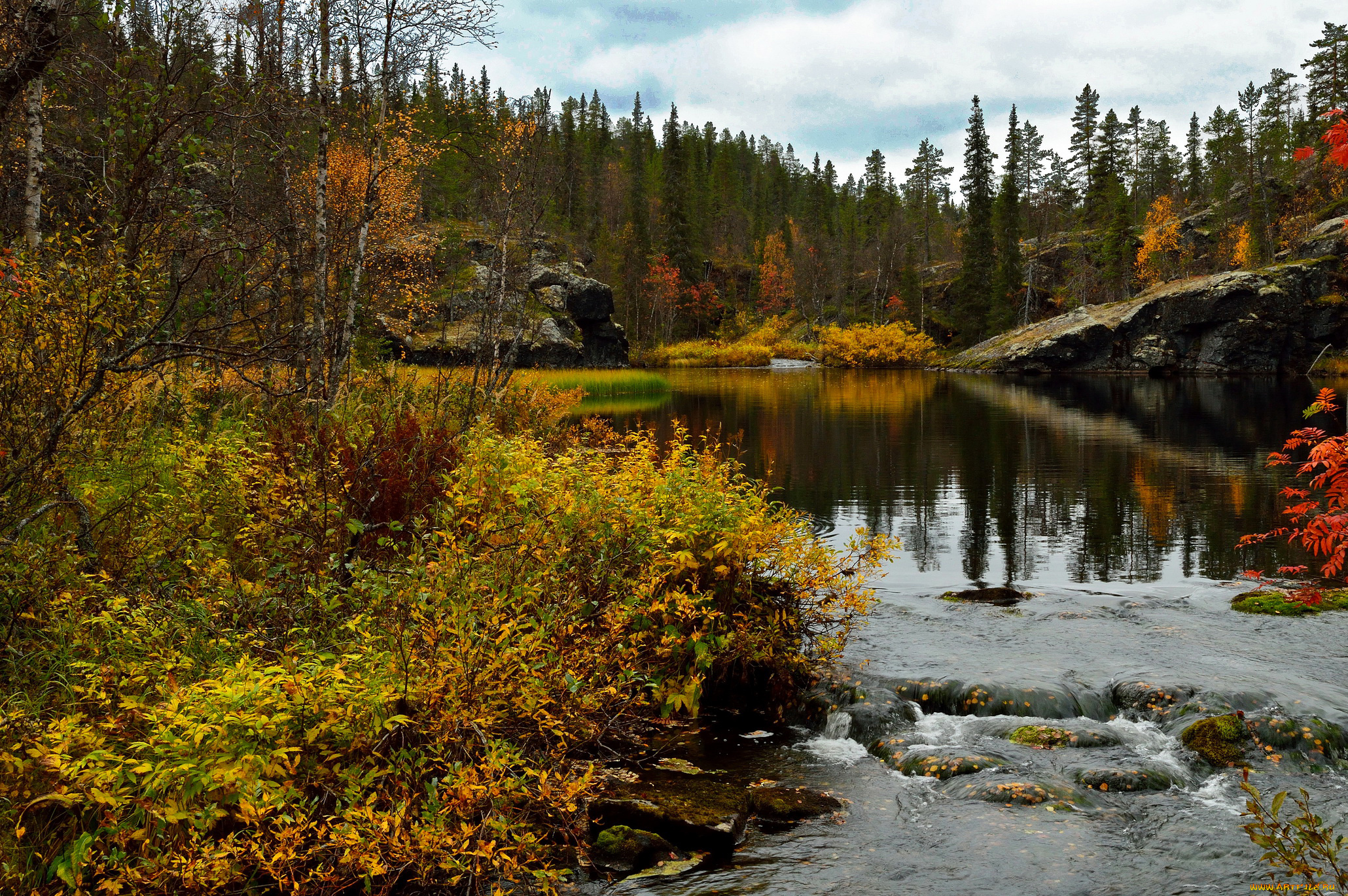 природа, реки, озера, лапландия, финляндия, река, лес, трава, осень