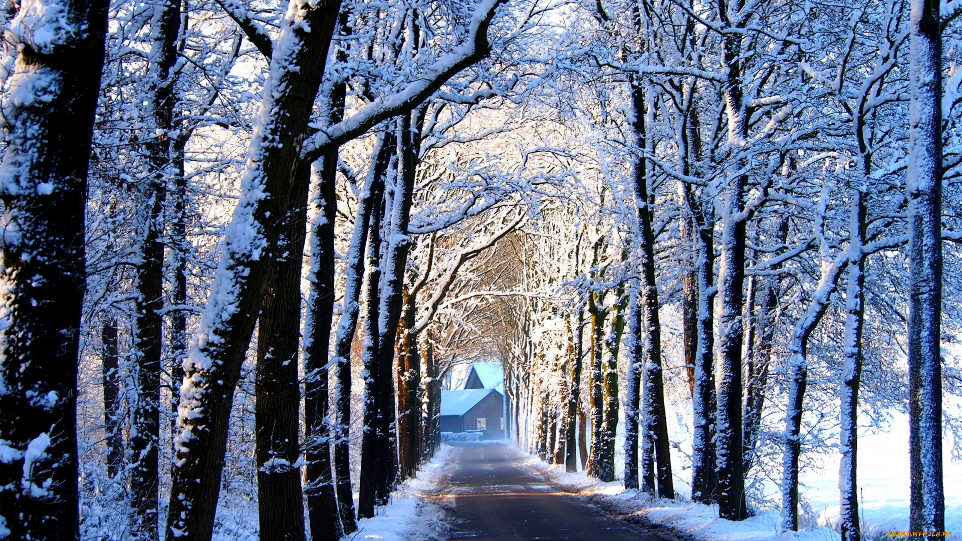 природа, дороги, зима, аллея, деревья, дорога, снег, дом