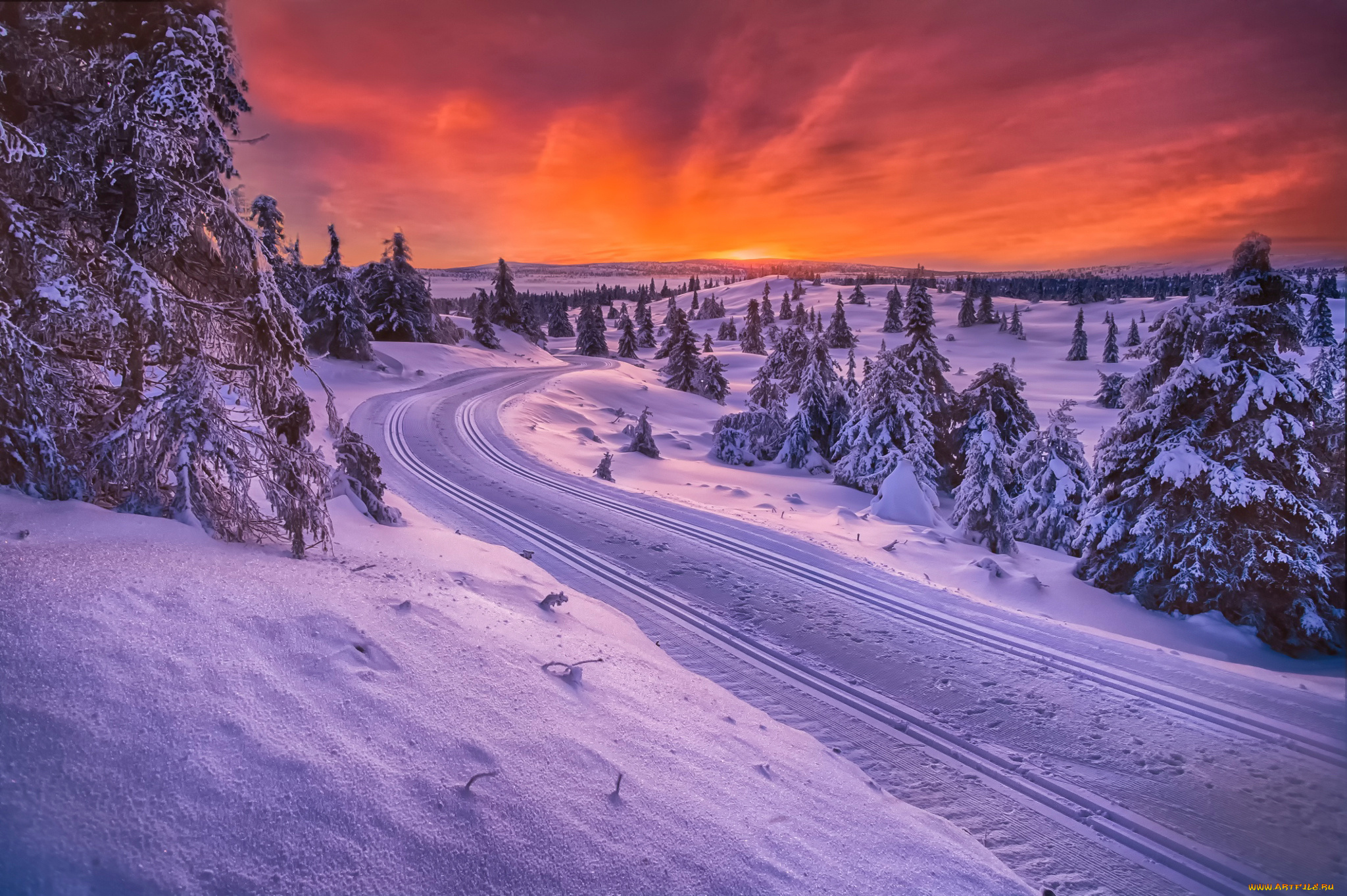 природа, зима, норвегия, санный, путь, дорога